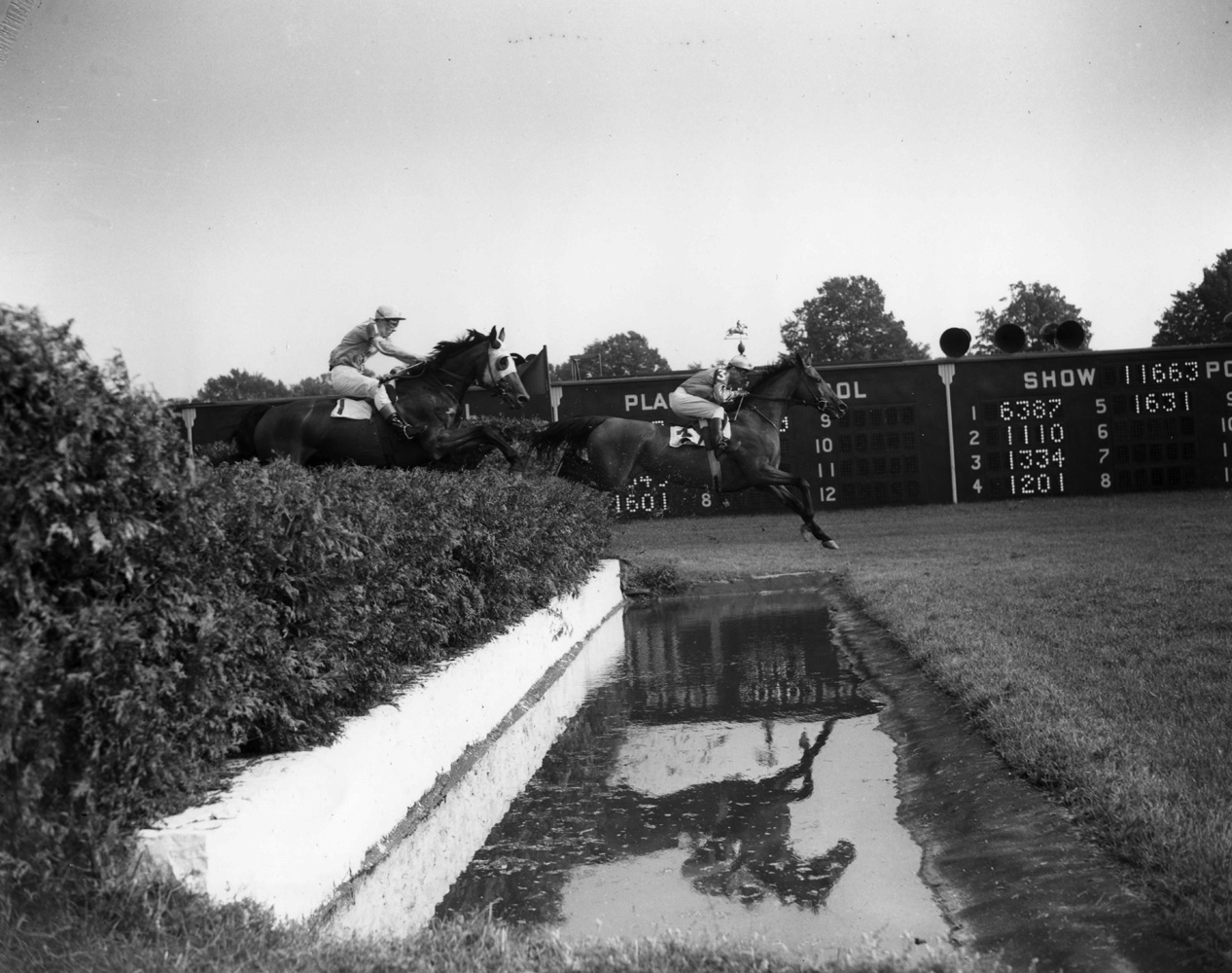 Elkridge (Frank Dooley Adams up) at the water jump in the 1950 Saratoga Handicap Steeplechase (Keeneland Library Morgan Collection/Museum Collection)