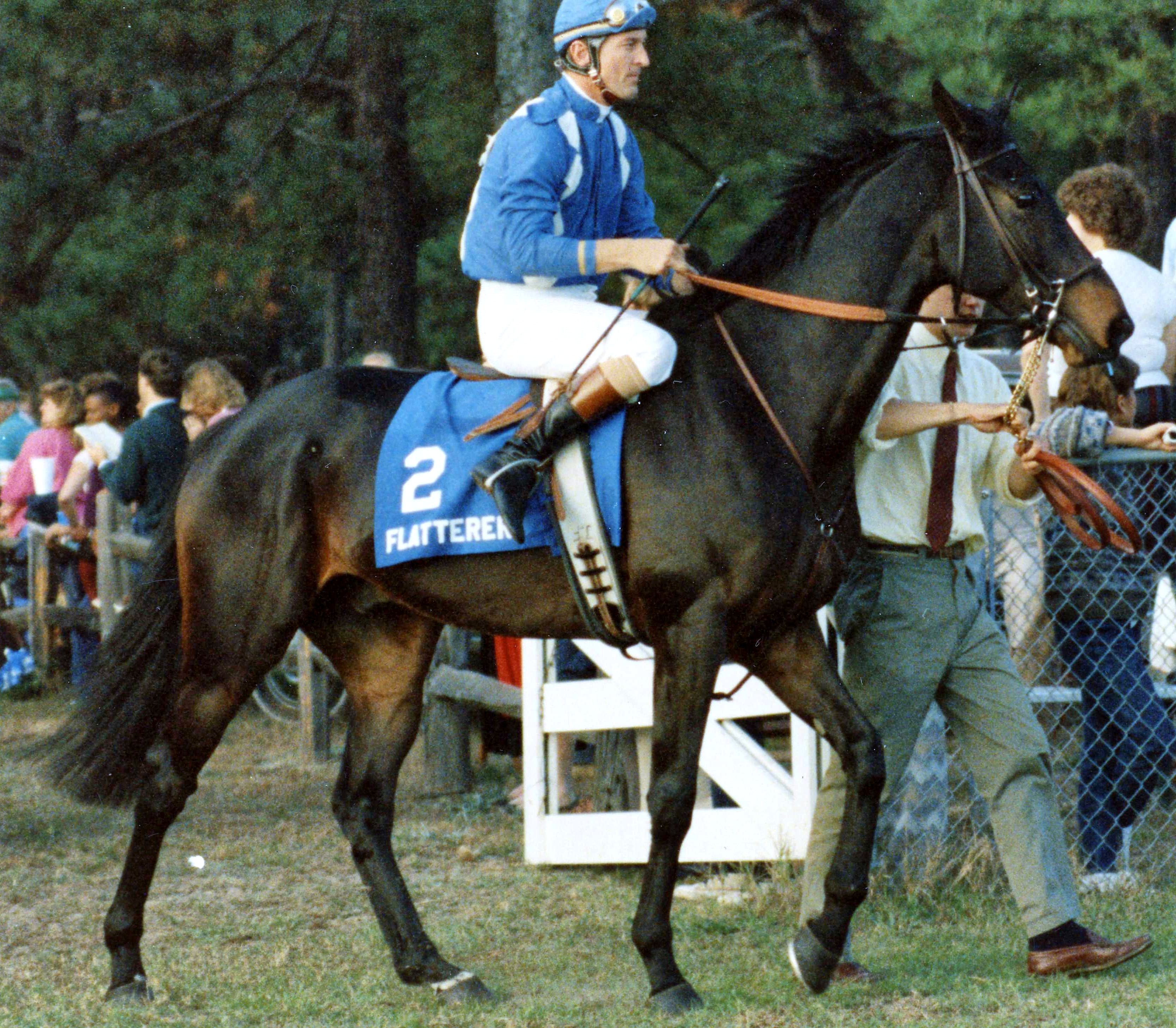 Flatterer (Jerry Fishback up) at the Colonial Cup (Catherine French/Museum Collection)