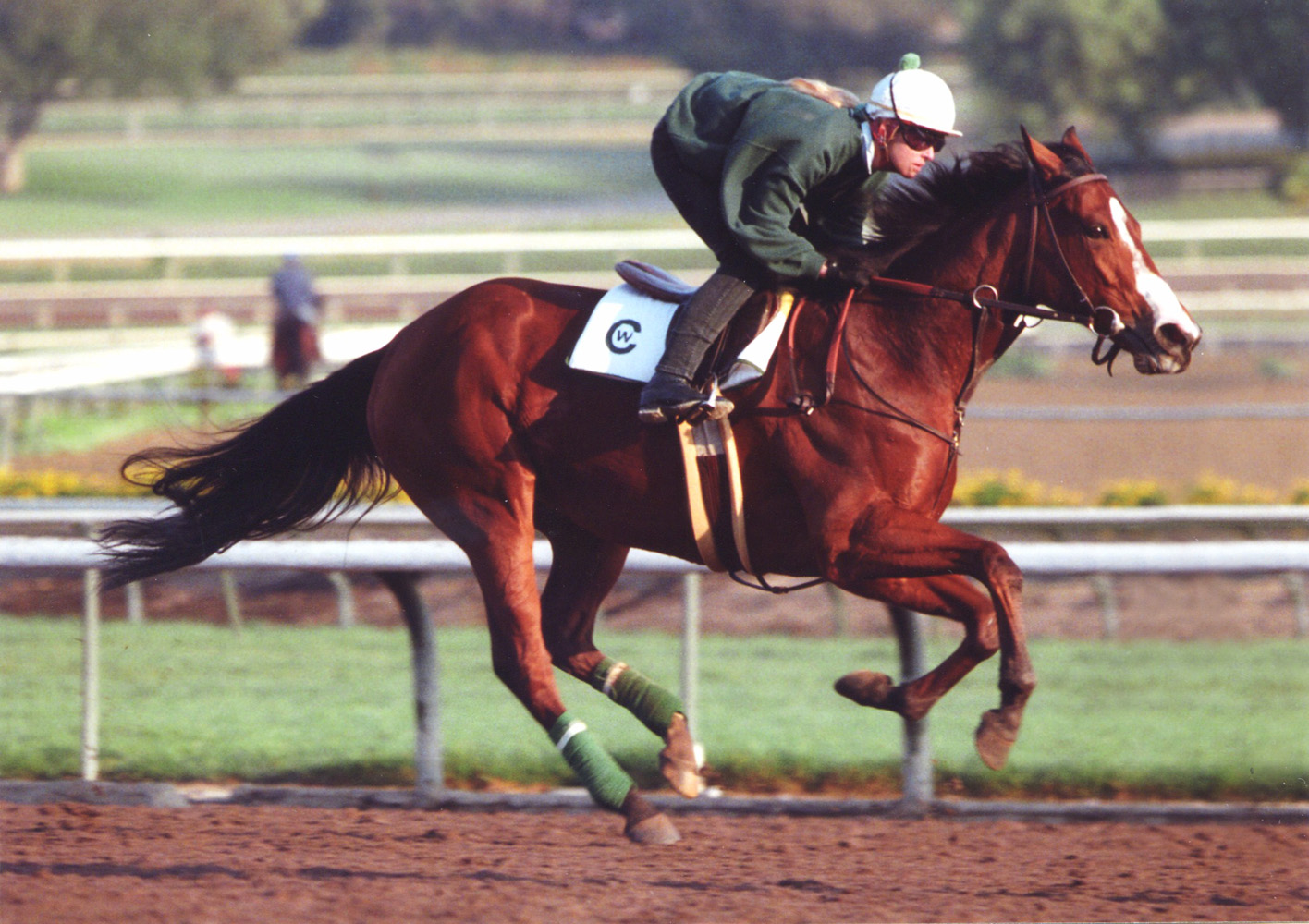 Flawlessly during morning workouts at Santa Anita in 1992 (Barbara D. Livingston/Museum Collection)