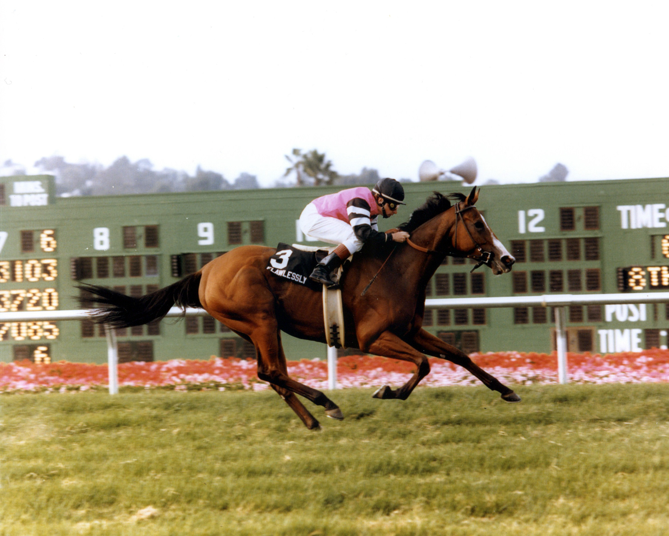 Flawlessly (Chris McCarron up) winning the 1991 Del Mar Oaks (Del Mar Thoroughbred Club/Museum Collection)