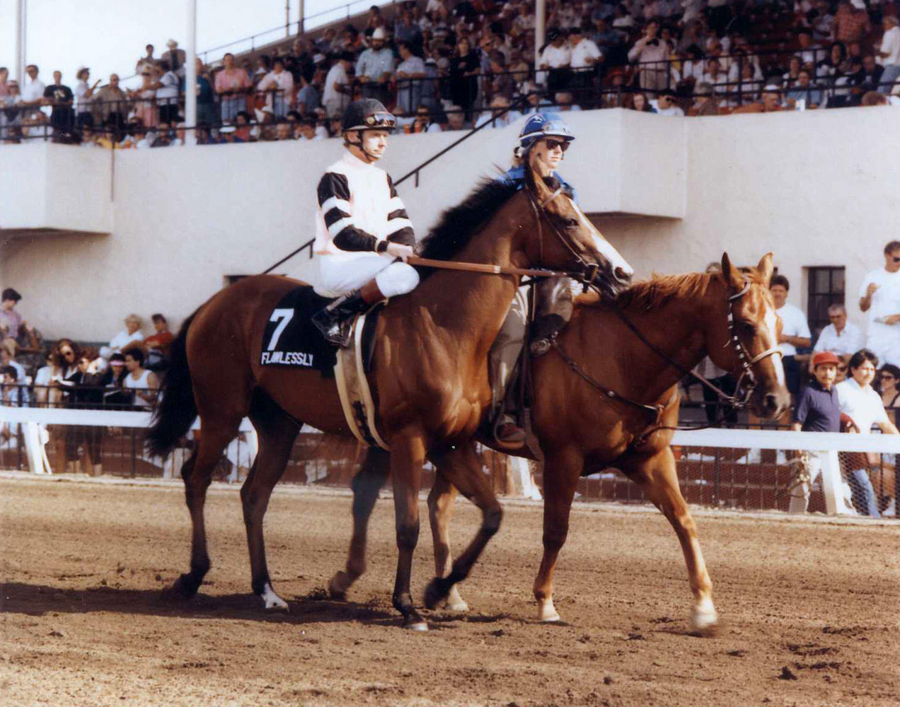 Flawlessly (Chris McCarron up) in the post parade for the 1991 San Clemente Handicap at Del Mar (Del Mar Thoroughbred Club/Museum Collection)