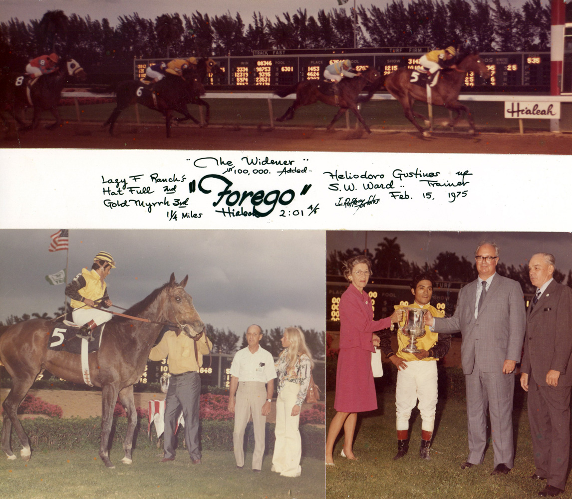 Win composite photograph for the 1975 Widener Handicap, won by Forego (Heliodoro Gustines up) (Jim Raftery Turfotos/Museum Collection)