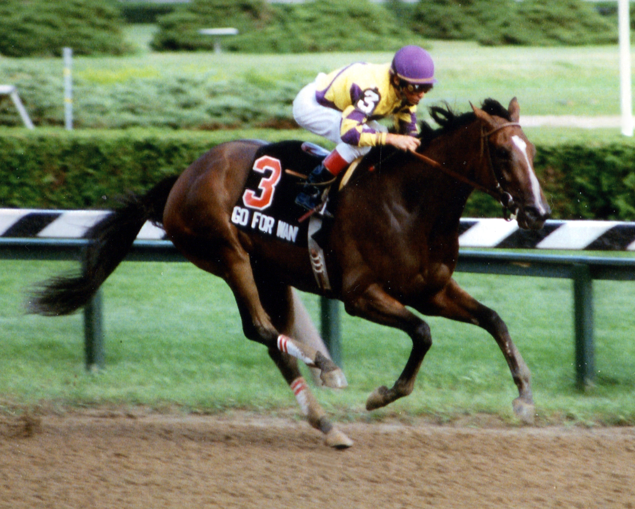Go for Wand (Randy Romero up) winning the 1990 Alabama at Saratoga (Mike Pender/Museum Collection)