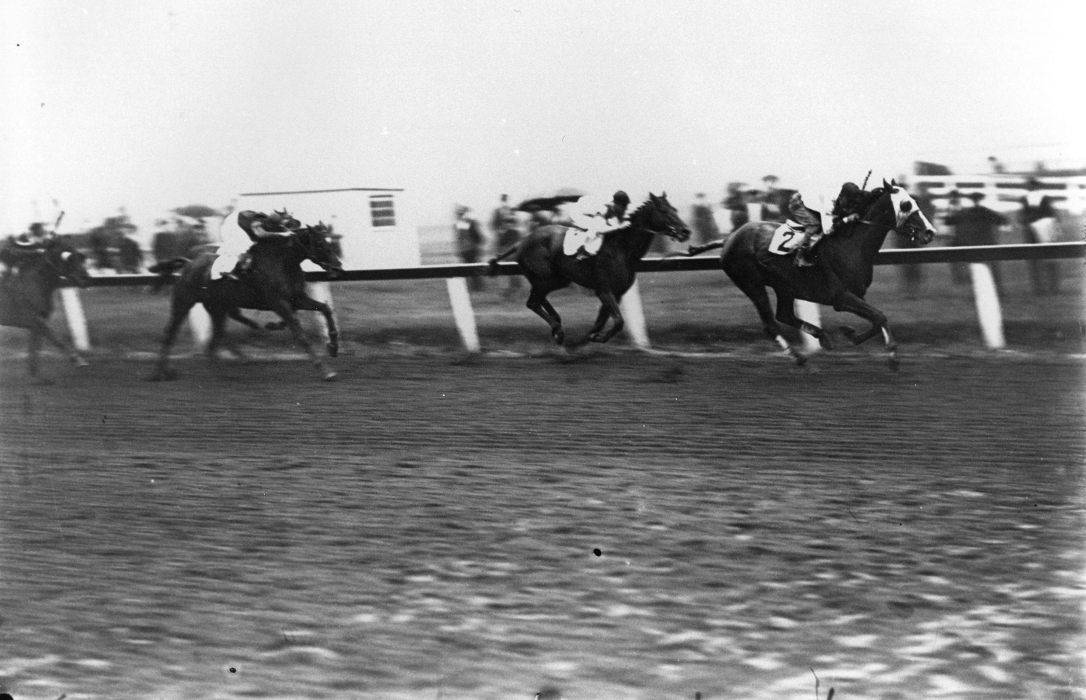 Grey Lag (Laverne Fator up) defeating John P. Grier and Exterminator in the 1921 Brooklyn Handicap at Aqueduct (Keeneland Library Cook Collection/Museum Collection)