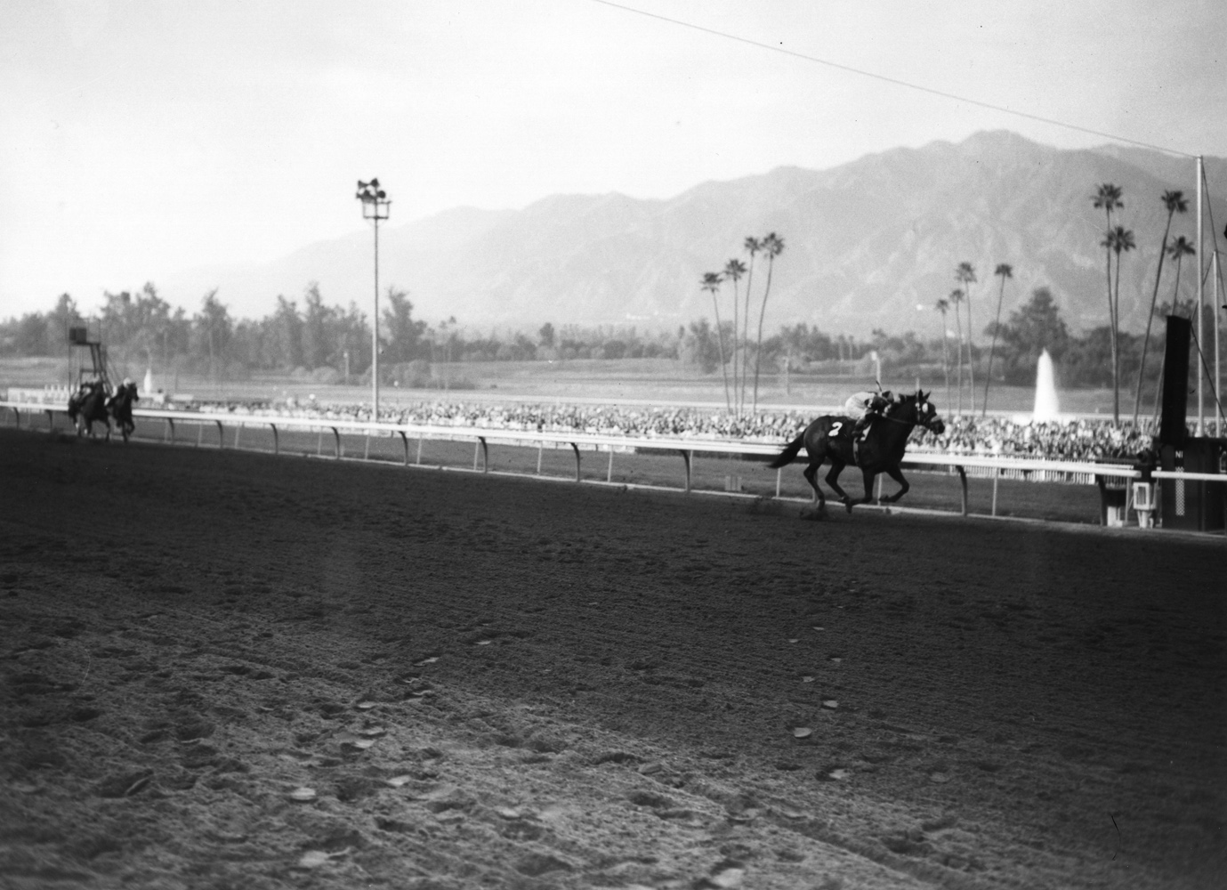 Gun Bow (Bill Shoemaker up) winning the 1964 Charles H. Strub Stakes at Santa Anita (Santa Anita Photo/Museum Collection)
