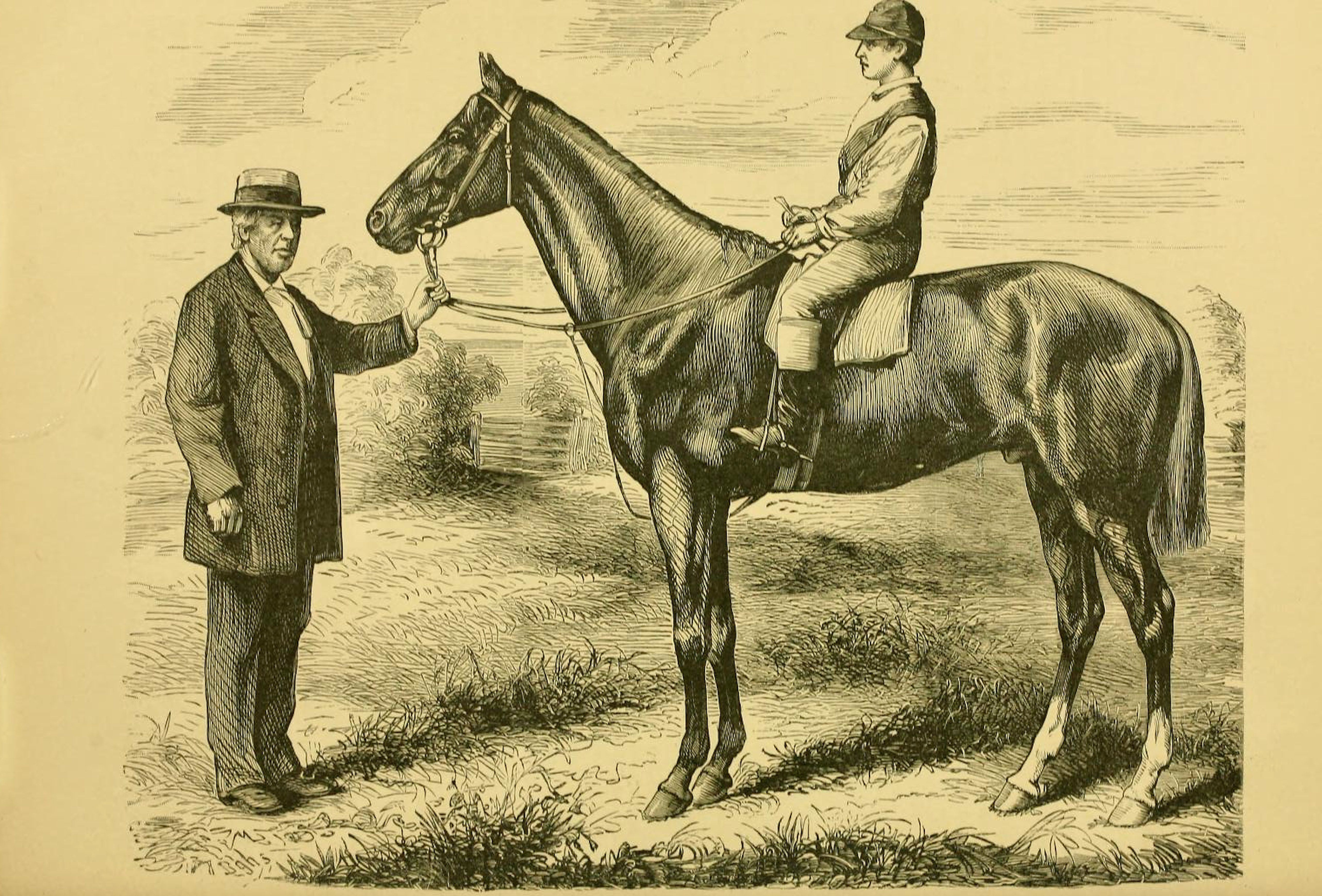 Illustration of Harry Bassett from "Famous American Racehorses," 1877 (Museum Collection)