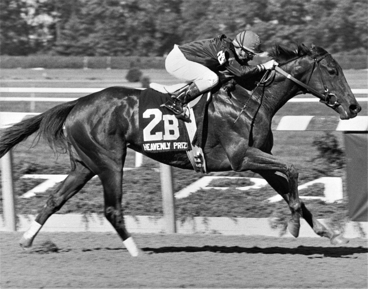 Heavenly Prize (Pat Day up) winning the 1994 Beldame at Belmont Park (Keeneland Library Thoroughbred Times Collection)