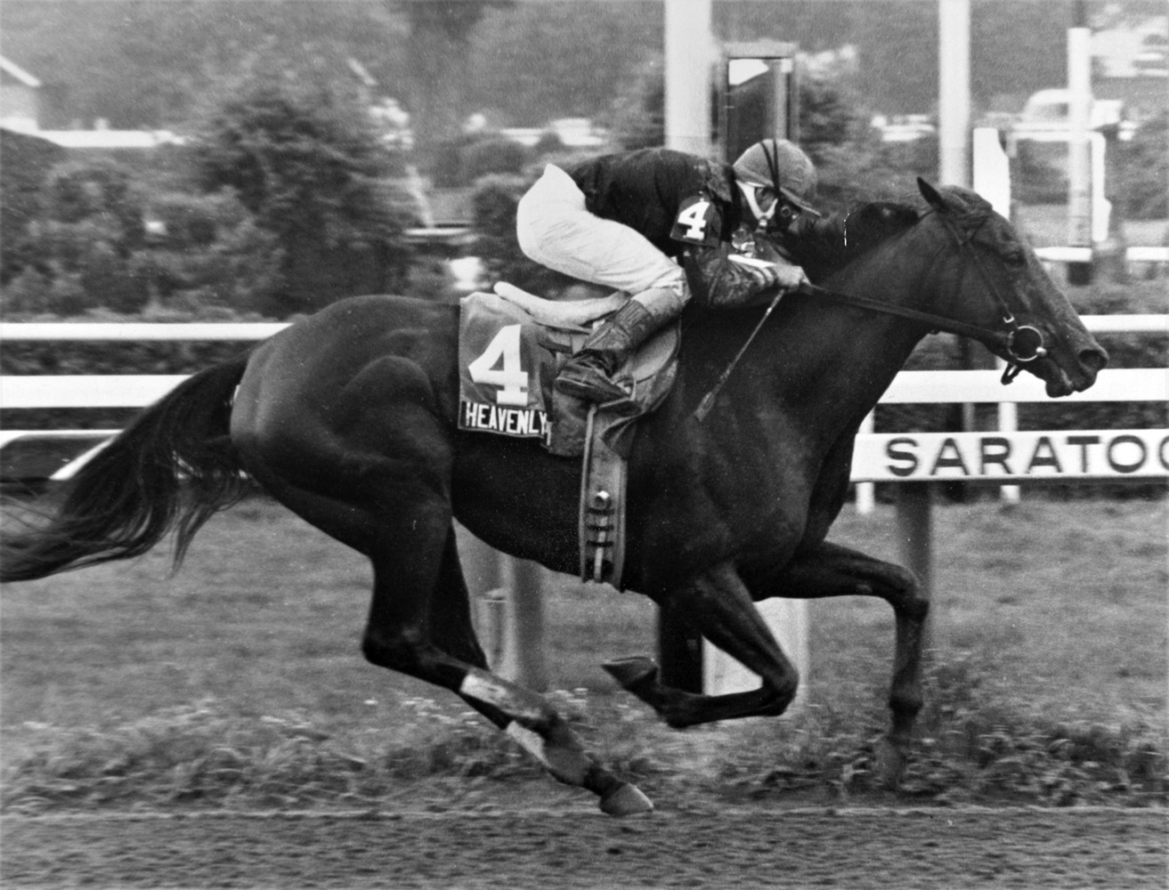 Heavenly Prize (Pat Day up) winning the 1995 Go For Wand at Saratoga (Keeneland Library Thoroughbred Times Collection)