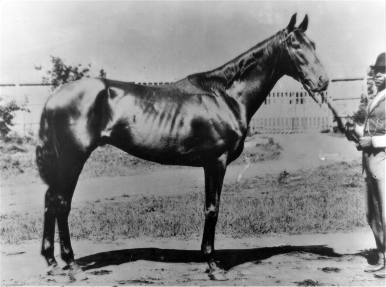 Undated photograph of Henry of Navarre (Keeneland Library Cook Collection)