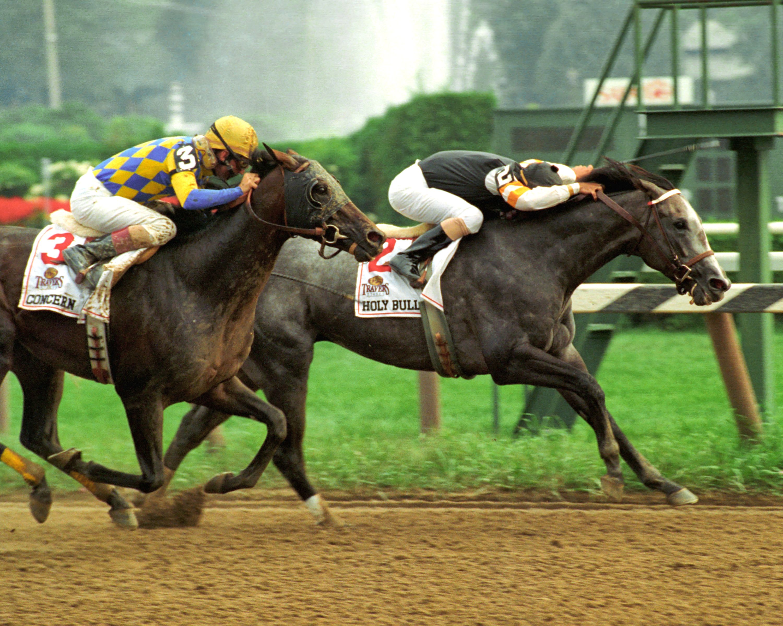 Holy Bull, Mike Smith up, winning the 1994 Travers Stakes (Skip Dickstein)