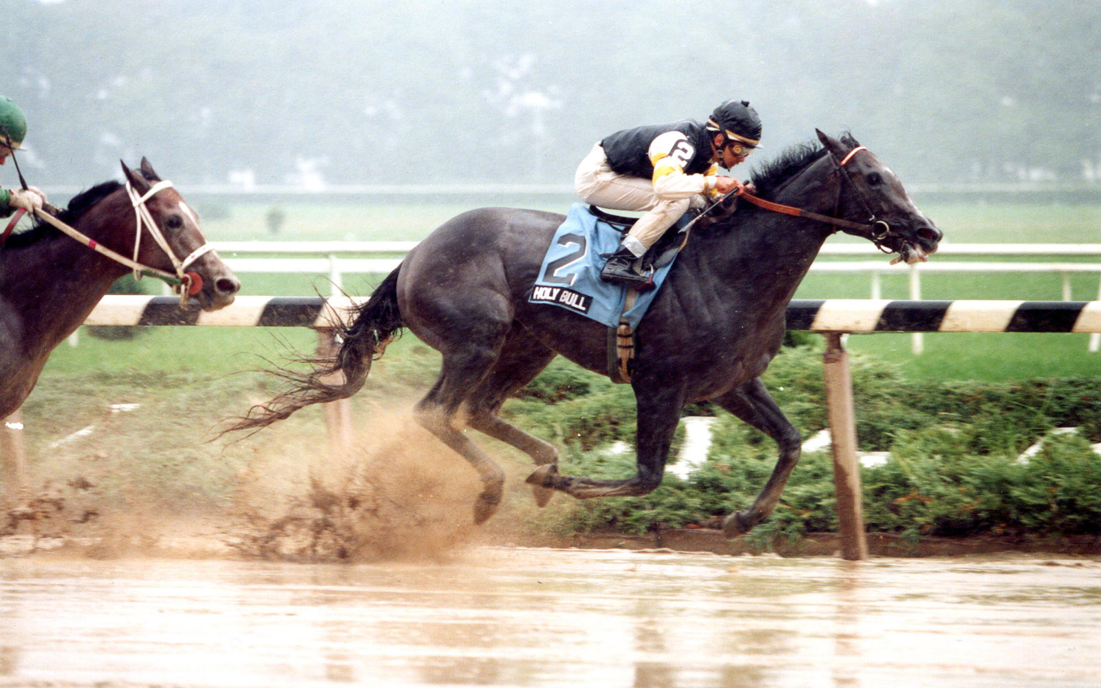 Holy Bull (Mike Smith up) winning the 1993 Futurity at Belmont Park (Barbara D. Livingston/Museum Collection)
