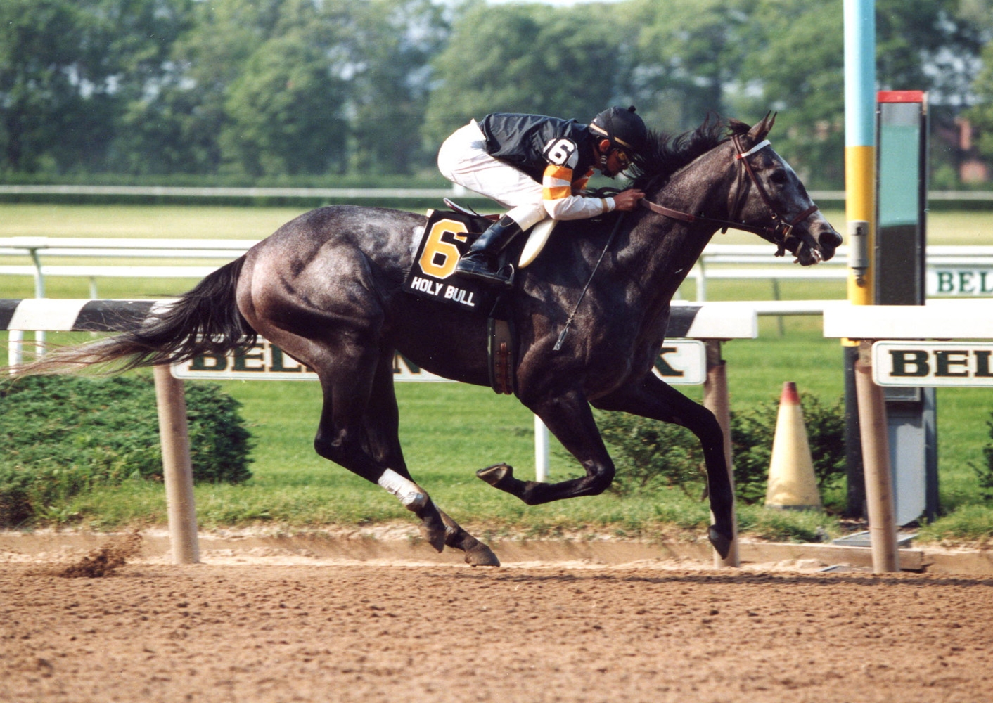 Holy Bull (Mike Smith up) winning the 1994 Metropolitan Handicap at Belmont Park (Barbara D. Livingston/Museum Collection)