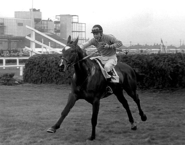 Jay Trump (Tommy Smith up) after completing a jump in the 1965 British Grand National (Winants Bros, Inc./Museum Collection)