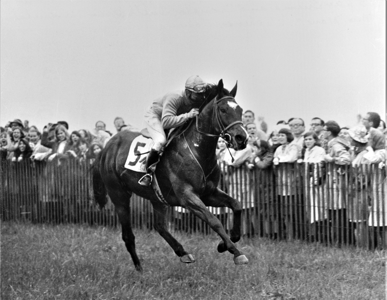 Jay Trump (Tommy Smith up) running down the stretch to win the 1966 Maryland Hunt Cup (Keeneland Library Thoroughbred Times Collection)