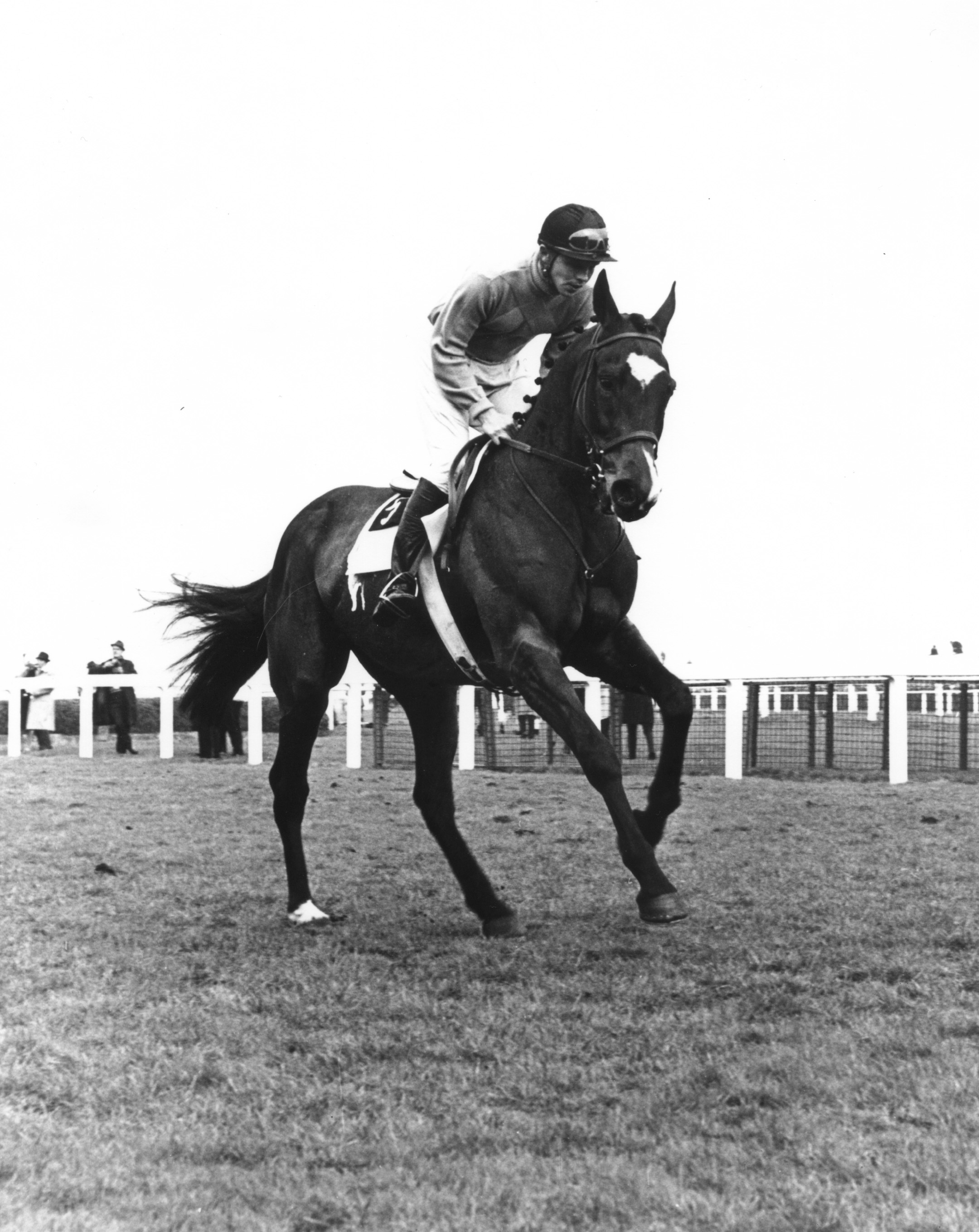 Jay Trump (Tommy Smith up) winning the 1965 British Grand National at Aintree (Winants Bros, Inc./Museum Collection)