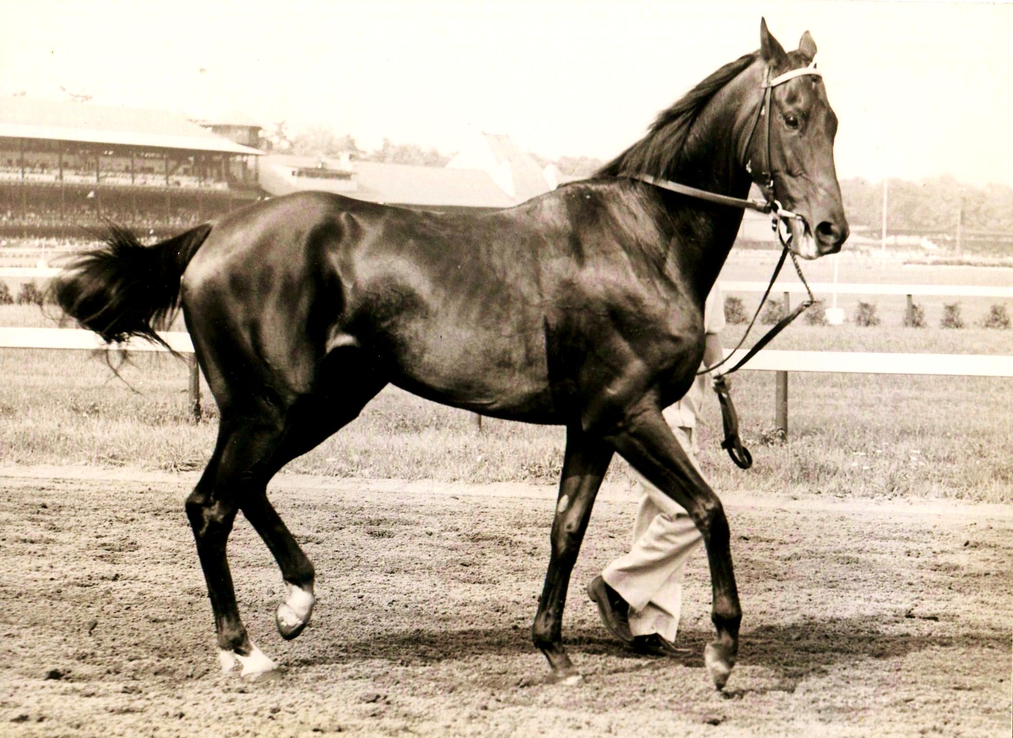 Kelso (KY) | National Museum of Racing and Hall of Fame