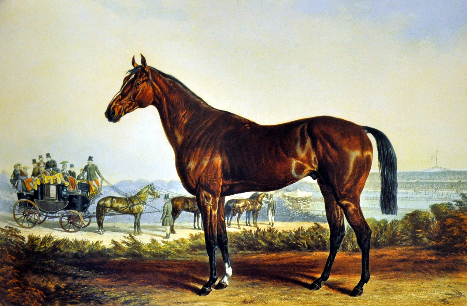 A likeness of Kentucky by artist Edward Troye (Museum Collection)