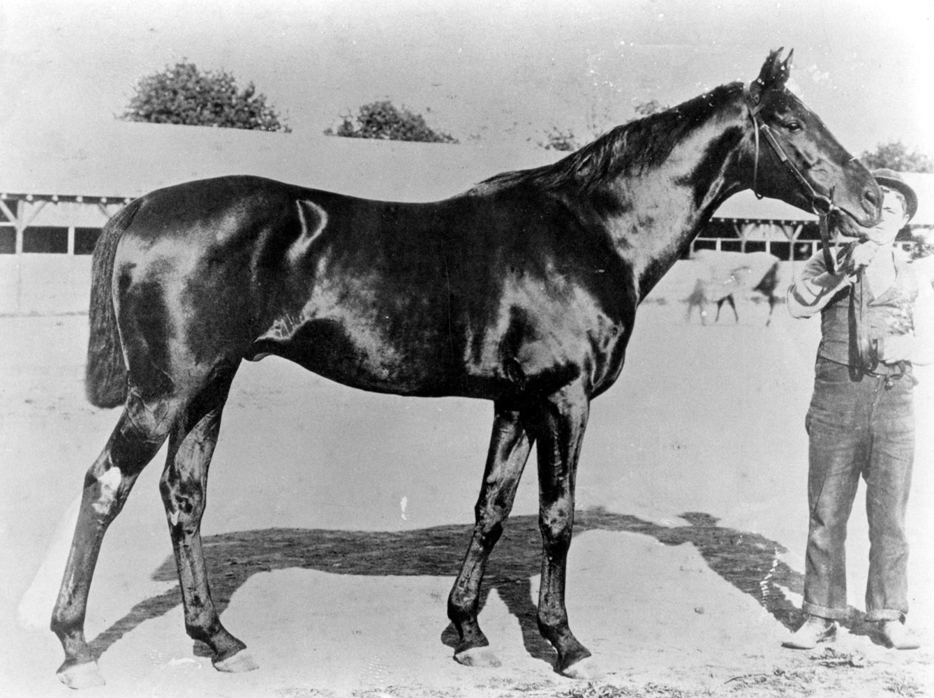 Kingston (Keeneland Library Cook Collection/Museum Collection)