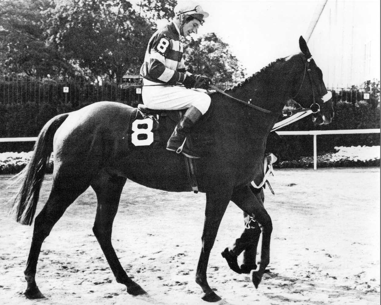 L'Escargot (T. Carberry up) at Belmont Park in 1969 (NYRA/Paul Schafer /Museum Collection)
