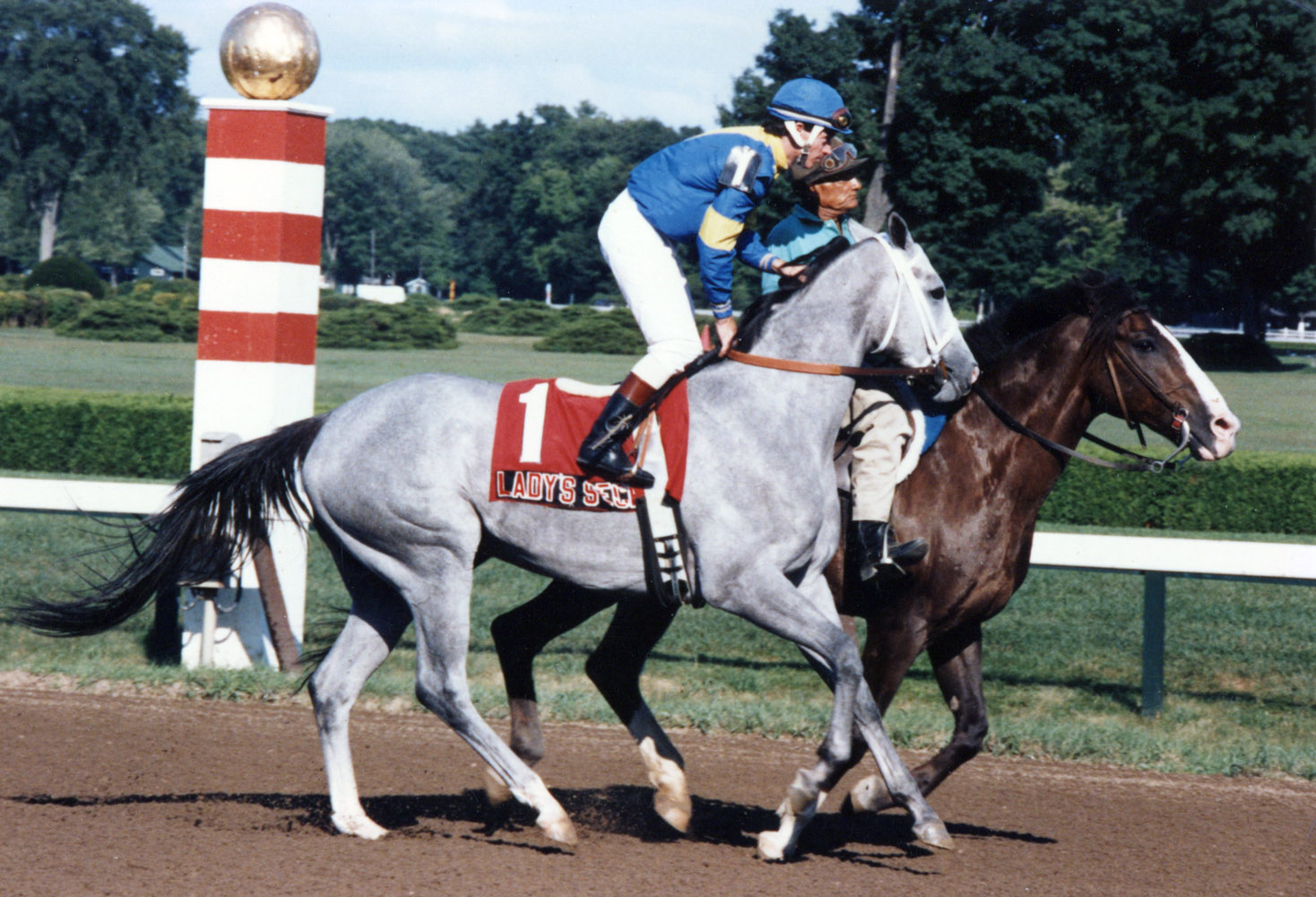 Lady's Secret (Don MacBeth up) going to the post for the 1985 Ballerina at Saratoga (Mike Pender/Museum Collection)
