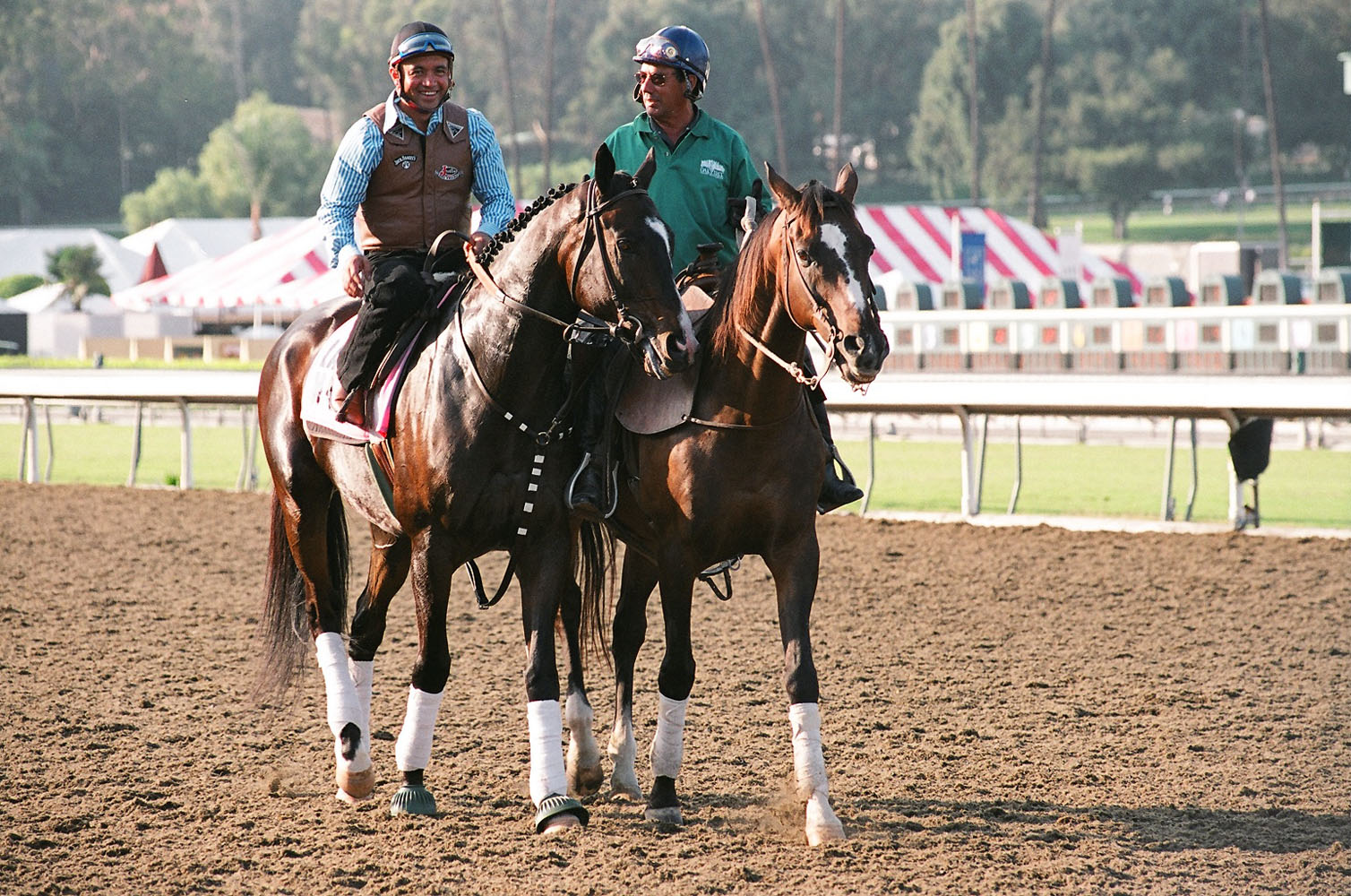 Lava Man leading the post parade for the 2008 California Cup Classic at Oak Tree in celebration of his recent retirement, with regular exercise rider Tony Romero up (Bill Mochon/Museum Collection)