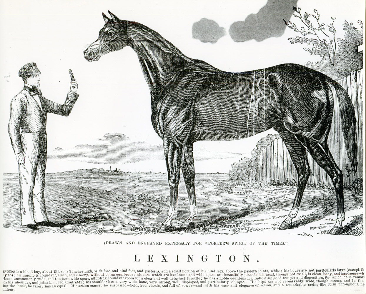 Illustration of Lexington from "The Spirit of the Times" (Museum Collection)