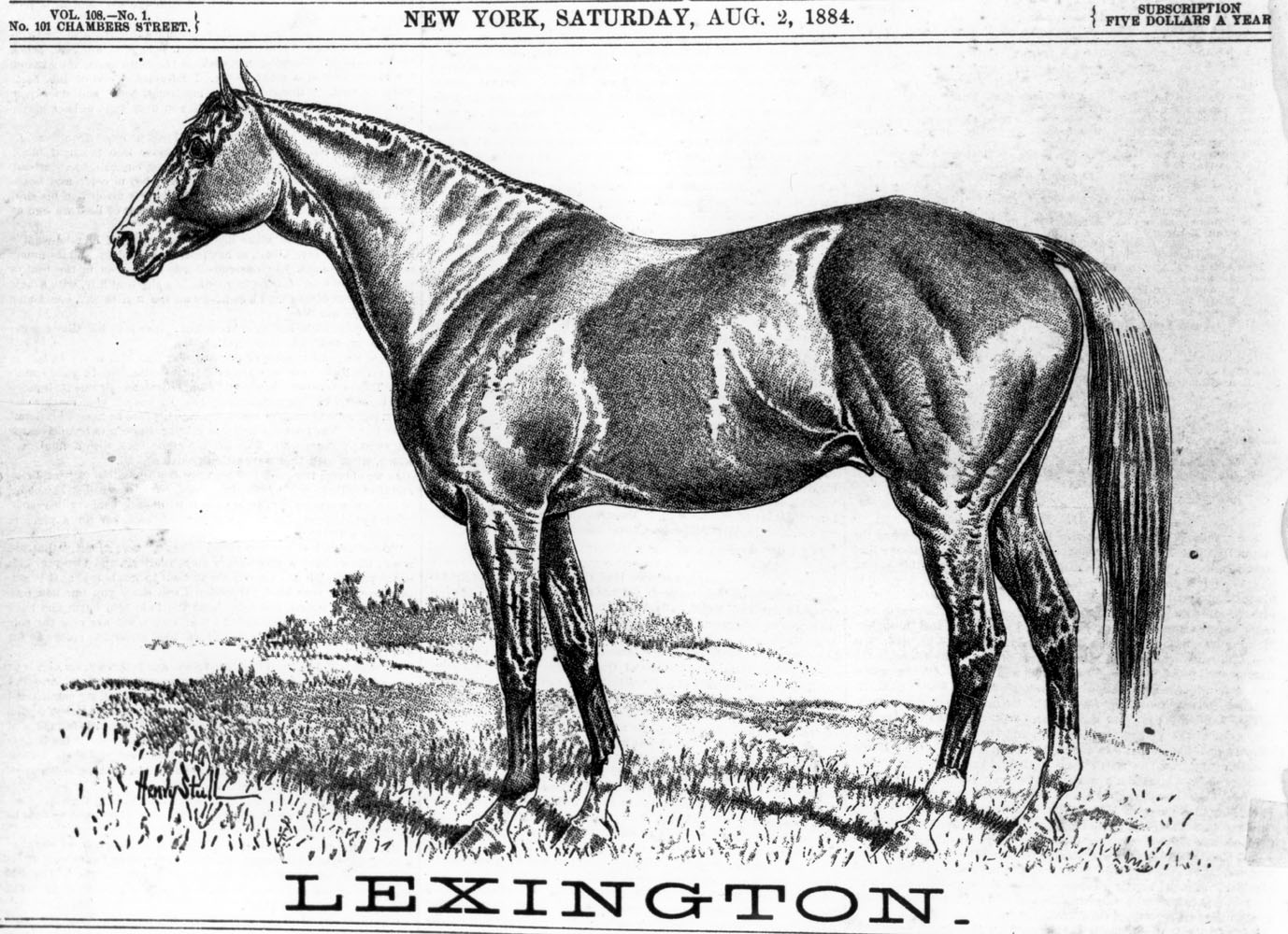 Illustration of Lexington from "The Spirit of the Times," August 1884 (Keeneland Library Collection/Museum Collection)