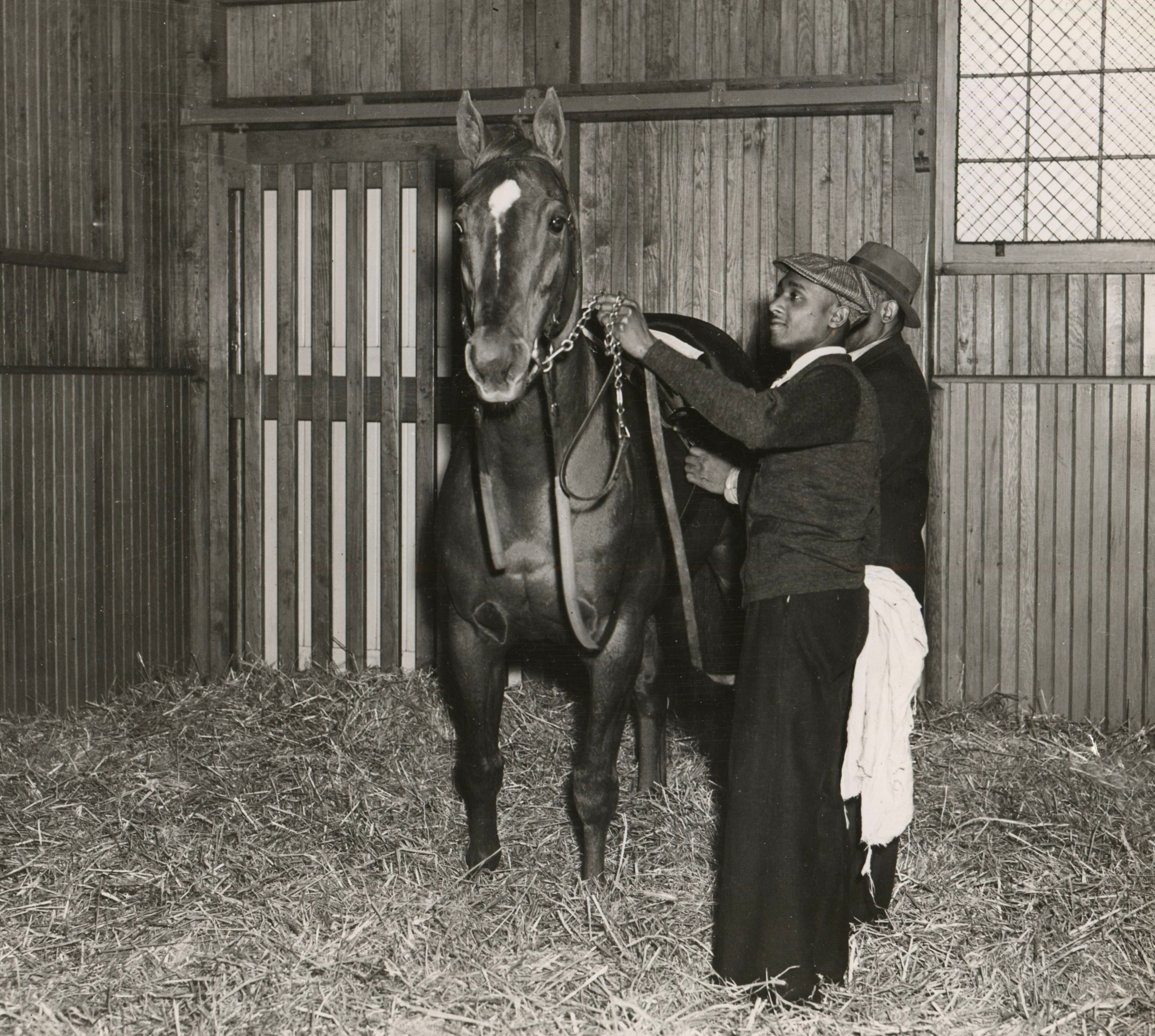 Man o' War being saddled in his stall (Wide World Photos/Museum Collection)