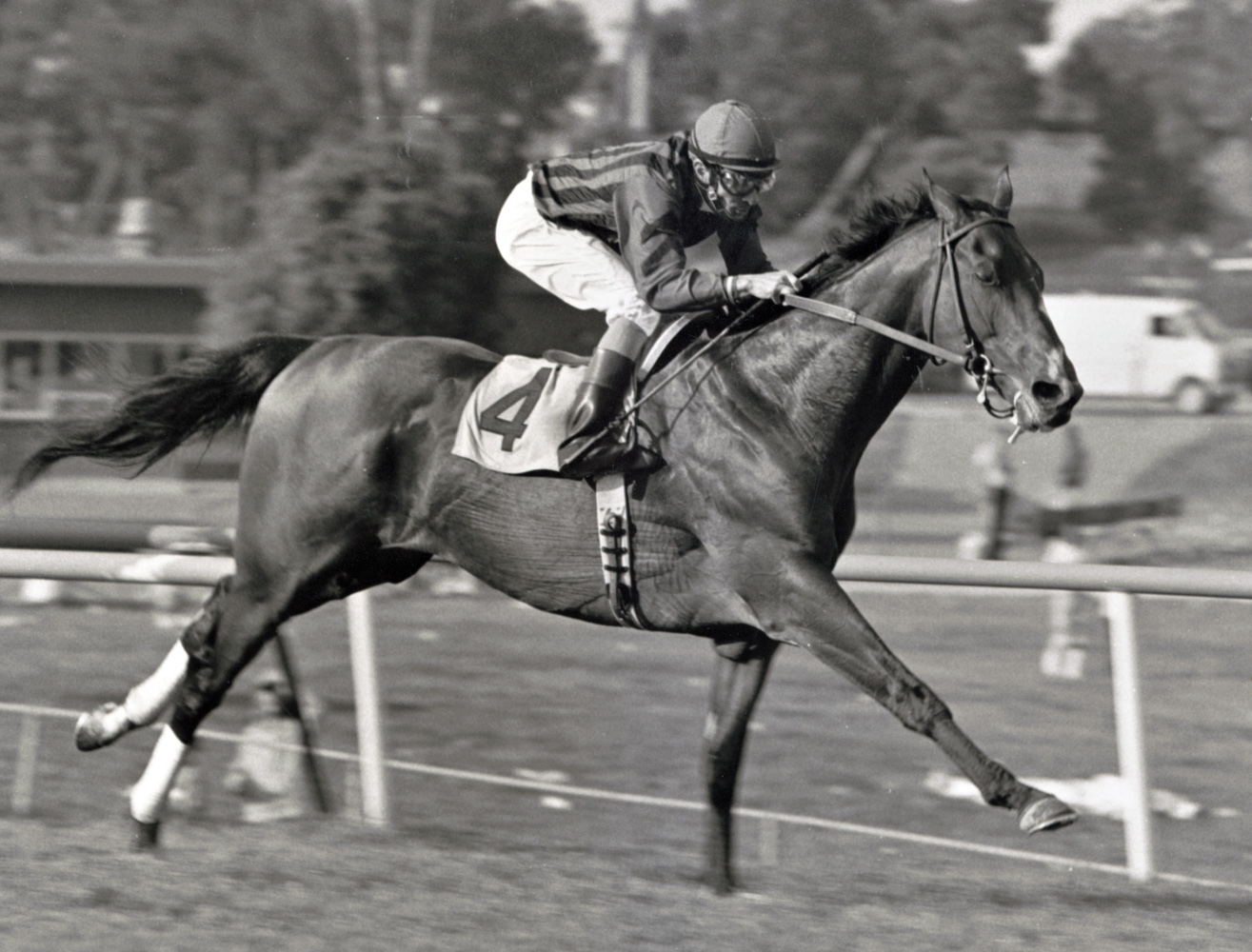Manila (Fernando Toro up) winning the 1986 Cinema Handicap at Hollywood Park (Keeneland Library Thoroughbred Times Collection)