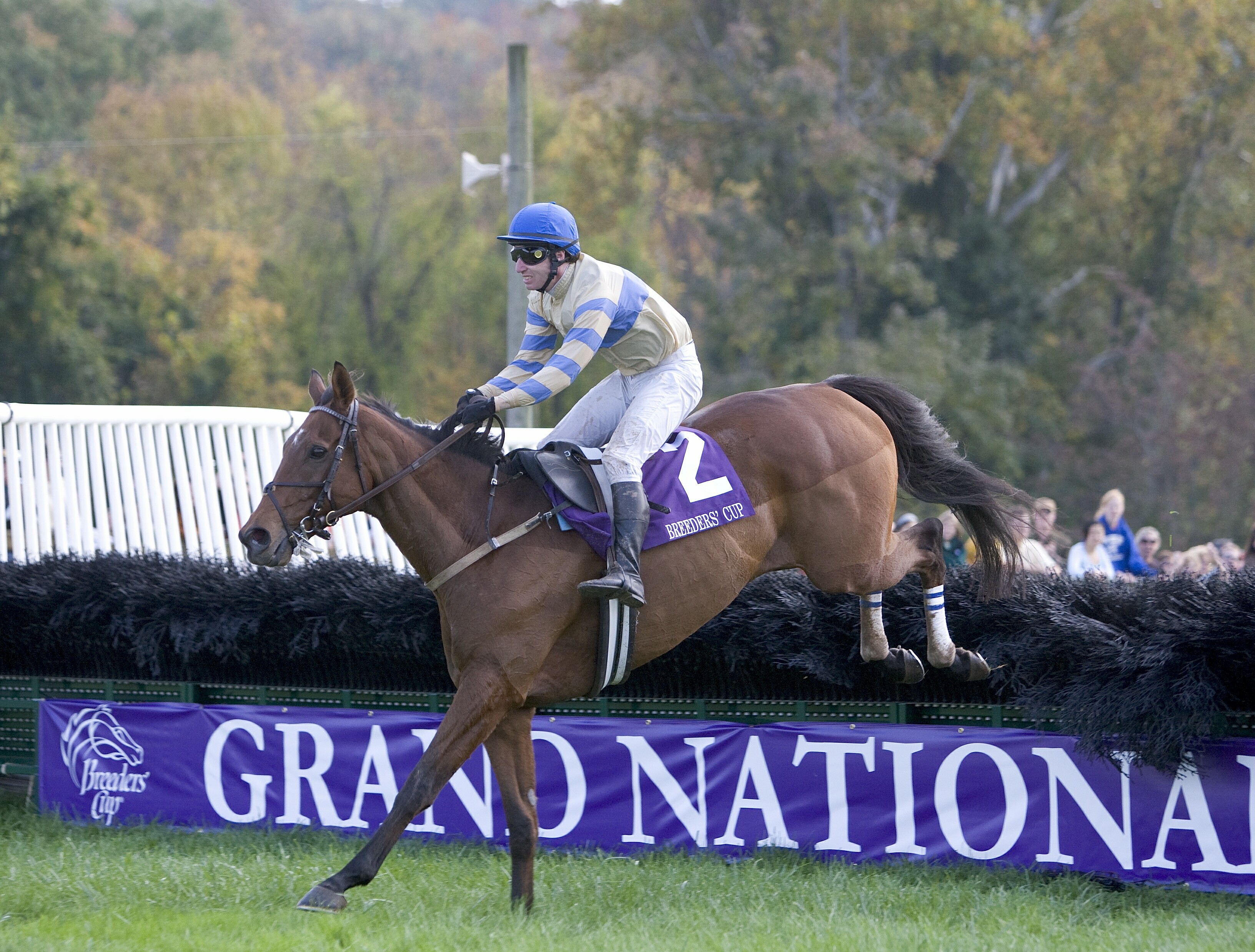 McDynamo (Jody Petty up) clears the last jump on his way to win the 2007 Grand National at Far Hills (Tod Marks)