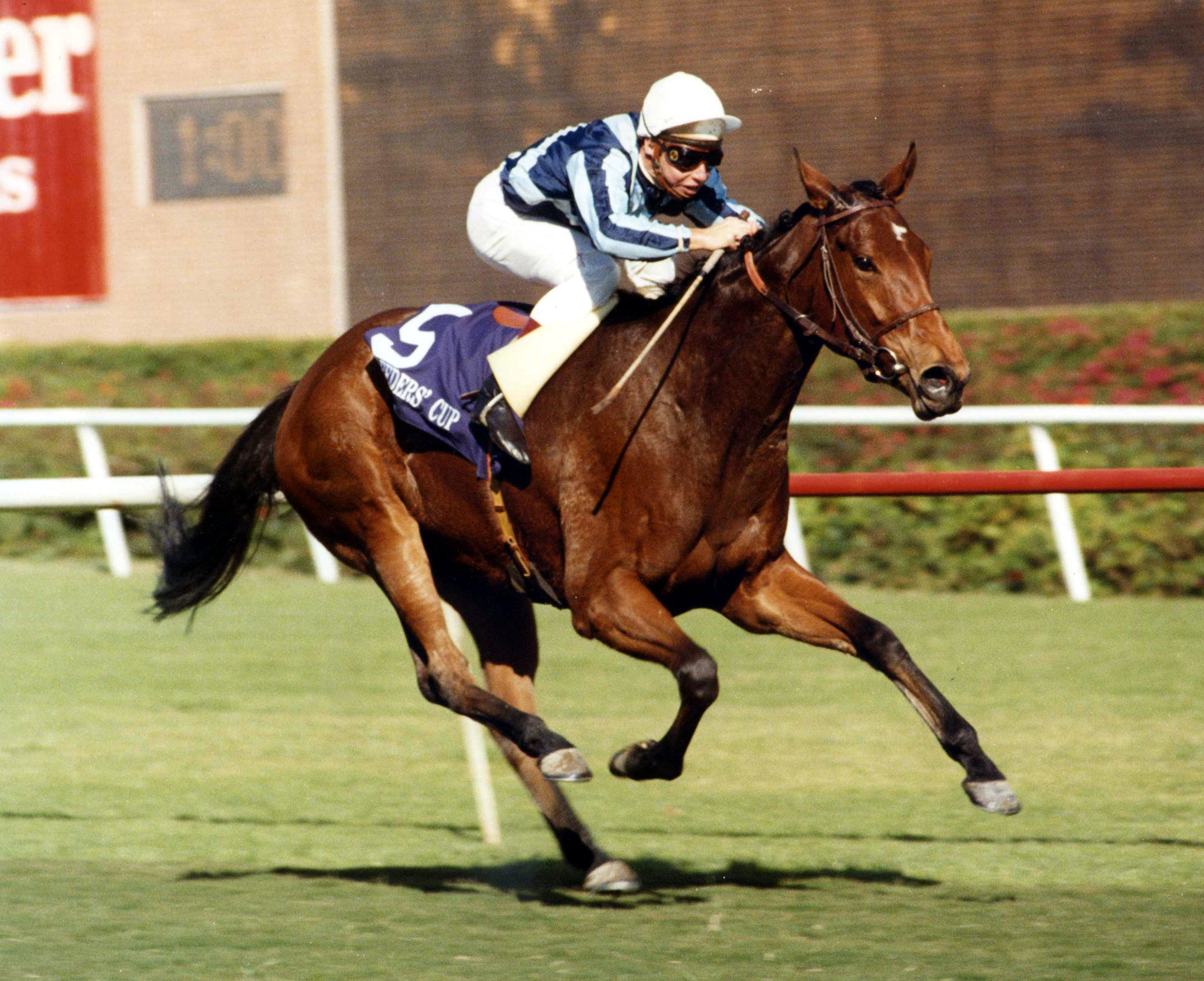 Miesque winning the 1987 Breeders' Cup Mile at Hollywood Park (Hollywood Park Photo/Museum Collection)