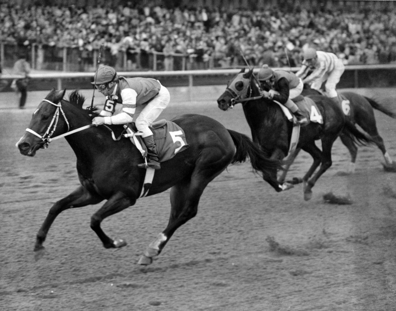 My Juliet (Tony Black up) defeating Kentucky Derby winner Bold Forbes in the 1976 Vosburgh Handicap at Aqueduct (Bob Coglianese)