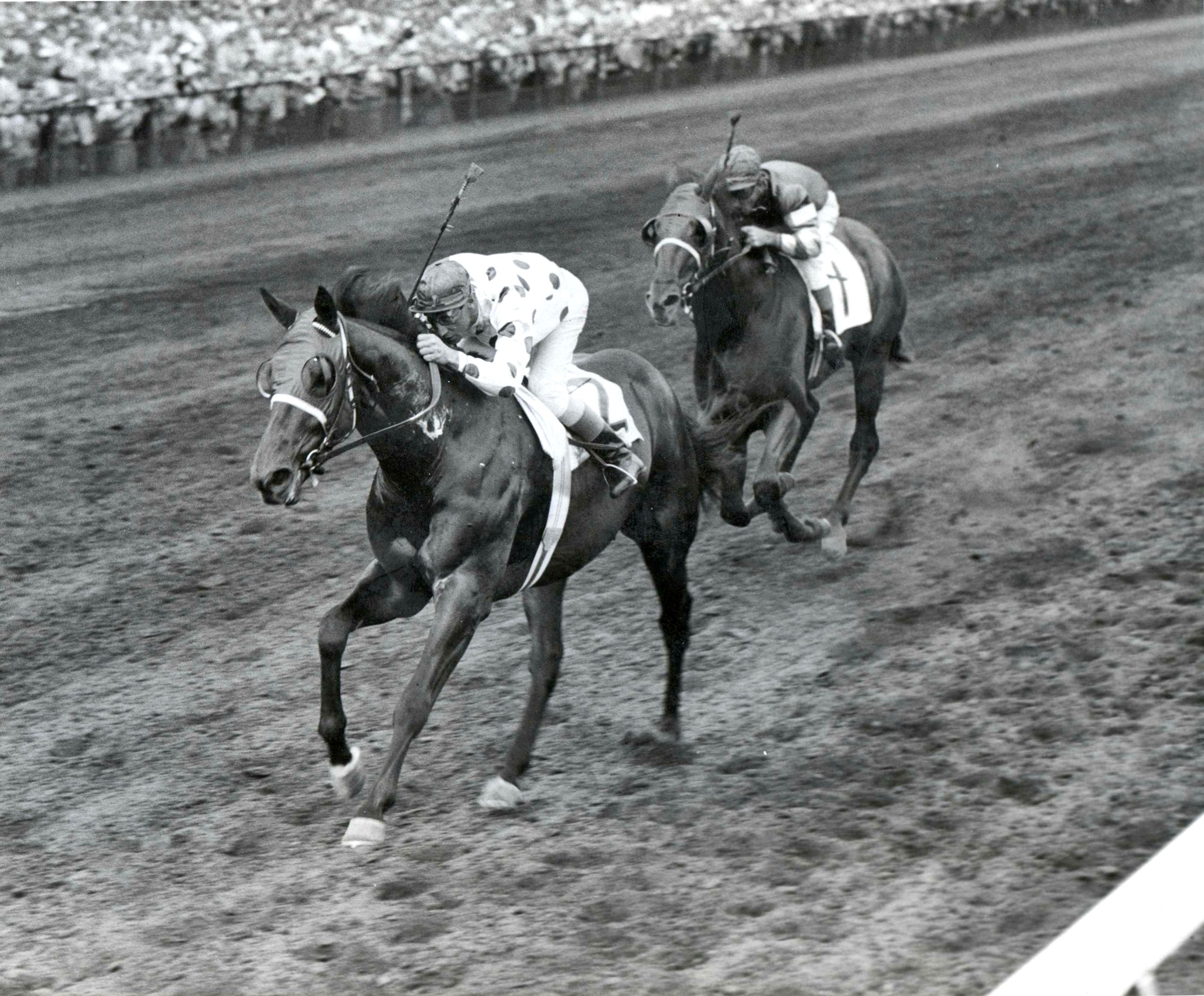 Nashua with Eddie Arcaro up (Museum Collection)