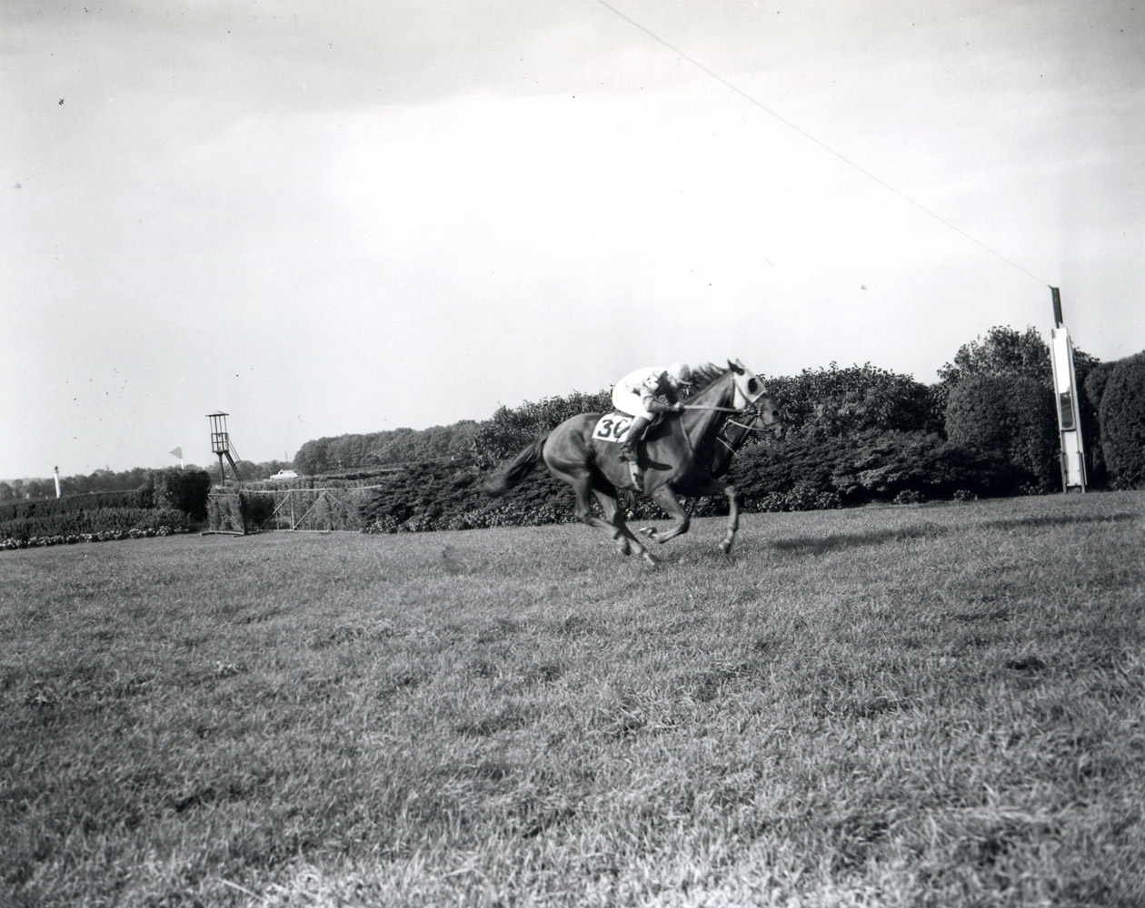 Neji (Frank Dooley Adams up) winning the 1954 Brook at Belmont Park (Keeneland Library Morgan Collection/Museum Collection)