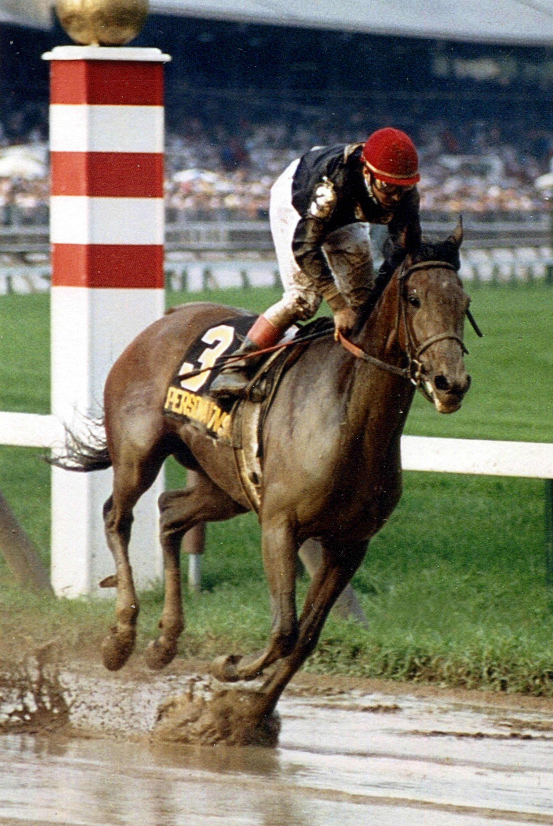 Personal Ensign (Randy Romero up) racing in the 1988 Whitney Handicap at Saratoga (Mike Pender/Museum Collection)