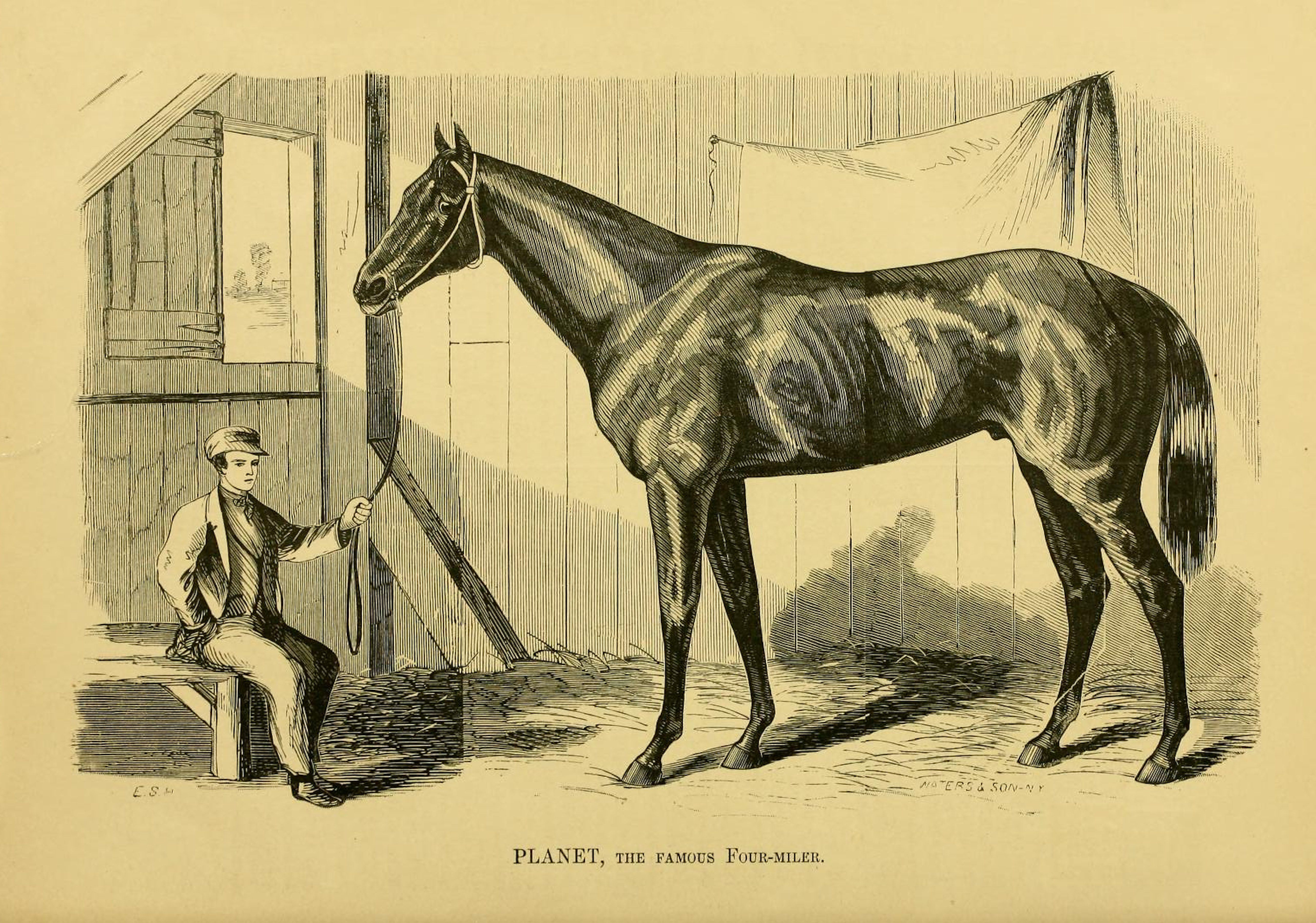 Illustration of Planet from "Famous American Racehorses," 1877 (Museum Collection)