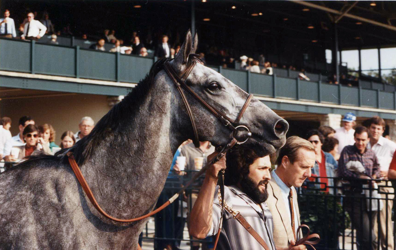 Princess Rooney at Keeneland, October 1984 (Barbara D. Livingston/Museum Collection)