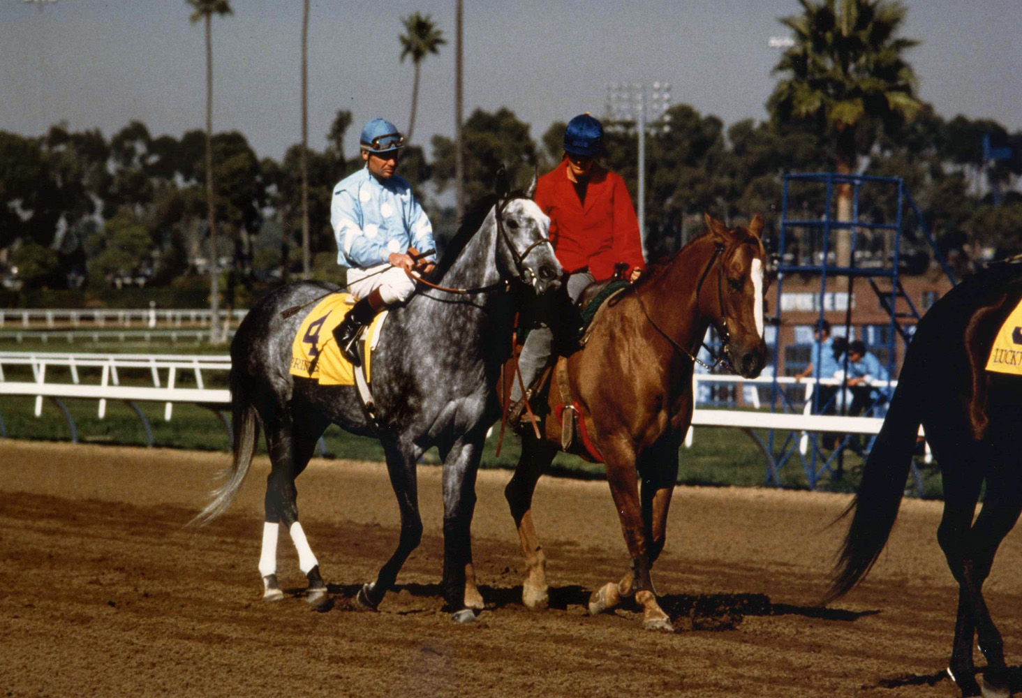 Princess Rooney (Eddie Delahoussaye up) in the post parade for the 1984 Breeders' Cup Distaff at Hollywood Park (Breeders' Cup Photo/Museum Collection)