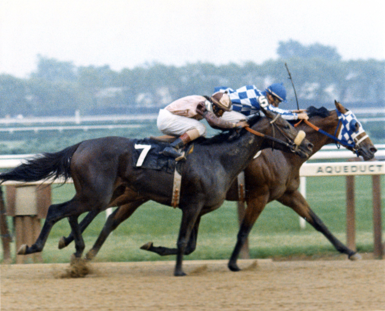 Riva Ridge (Ron Turcotte up) winning the 1973 Brooklyn Handicap at Aqueduct by a head (Bob Coglianese/Museum Collection)