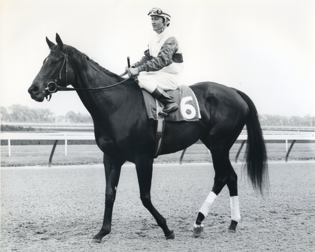 Ruffian and Jacinto Vasquez (Museum Collection)