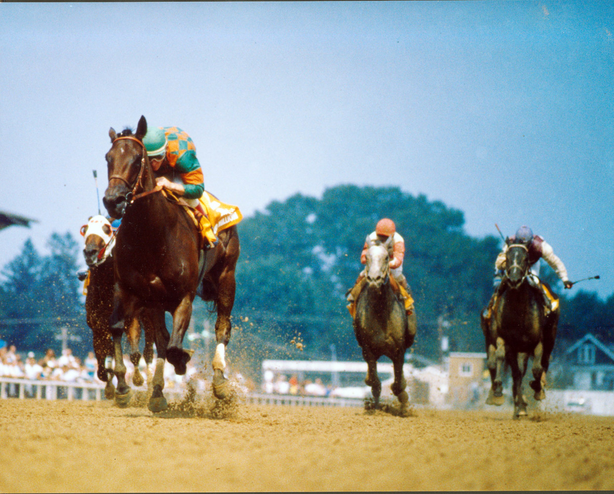 Safely Kept won the Genuine Risk Handicap, Maryland Million Distaff Handicap, and the Garden State Stakes Handicap three times each in her career (NYRA)