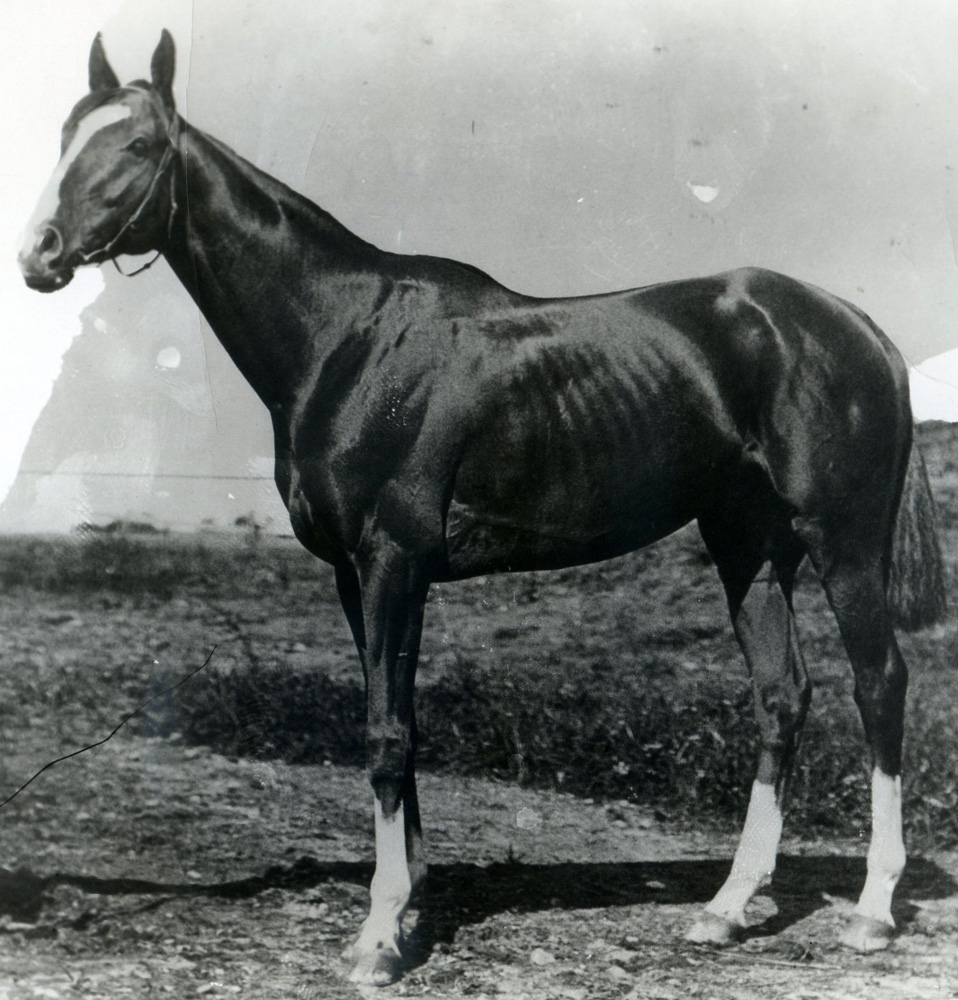 Salvator (Keeneland Library Cook Collection/Museum Collection)