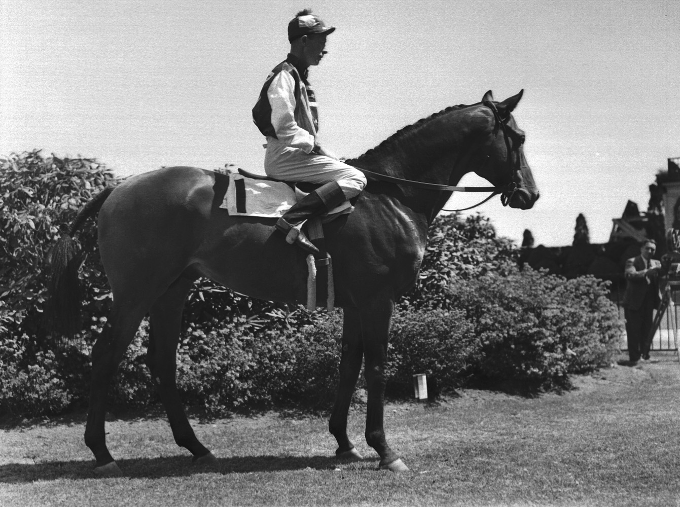 Seabiscuit with Red Pollard (Museum Collection)