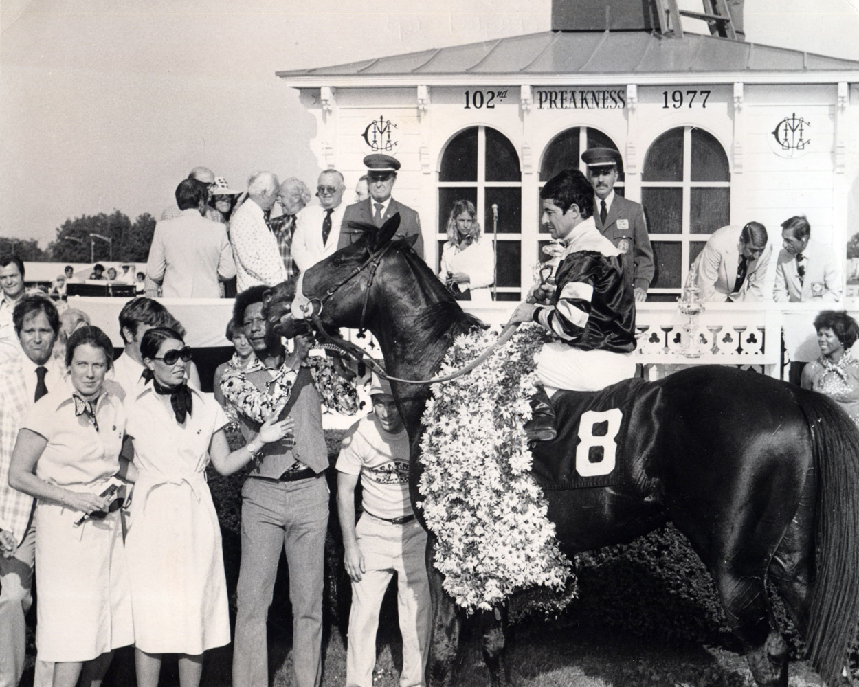 Seattle Slew (Jean Cruguet up) in the winner's circle for the 1977 Preakness (Museum Collection)