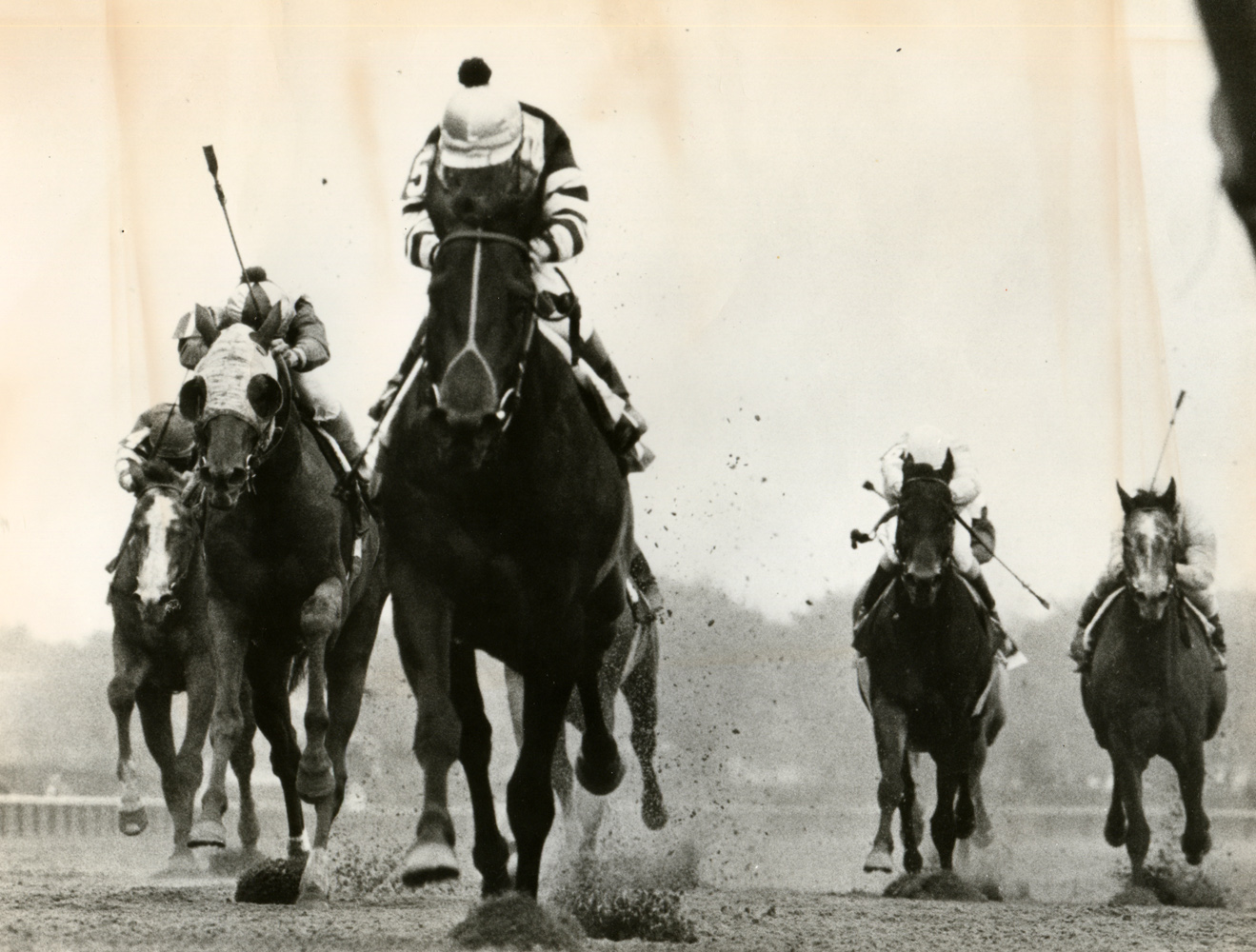 Seattle Slew (Jean Cruguet up) winning the 1977 Wood Memorial at Aqueduct, his final prep before the Triple Crown series (NYRA/Bob Coglianese /Museum Collection)