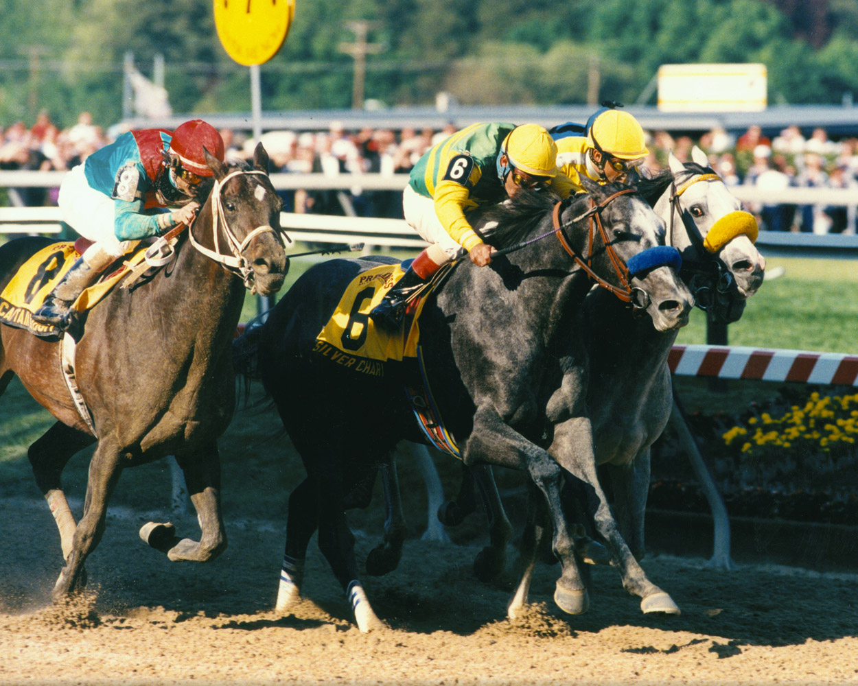 Silver Charm (Gary Stevens up) closing in to win the 1997 Preakness by a head (Skip Dickstein)