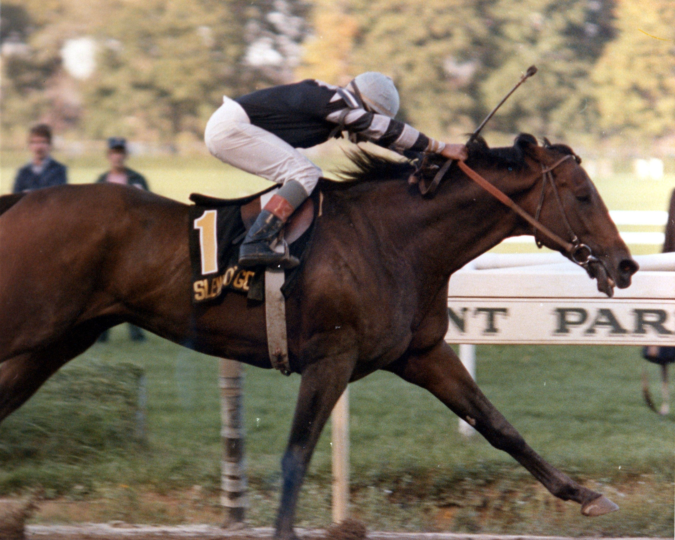 Slew o' Gold with Angel Cordero, Jr. up at Belmont Park (Museum Collection)
