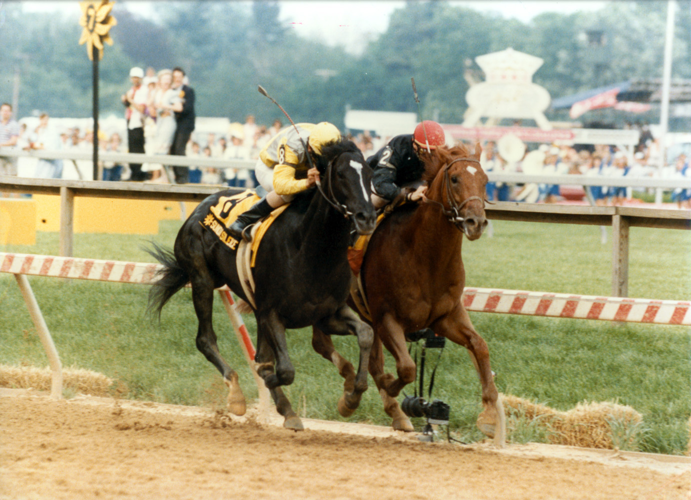 Sunday Silence (Patrick Valenzuela up) dueling fellow Hall of Famer Easy Goer (Pat Day up) down the stretch in the 1989 Preakness (Skip Dickstein/Museum Collection)