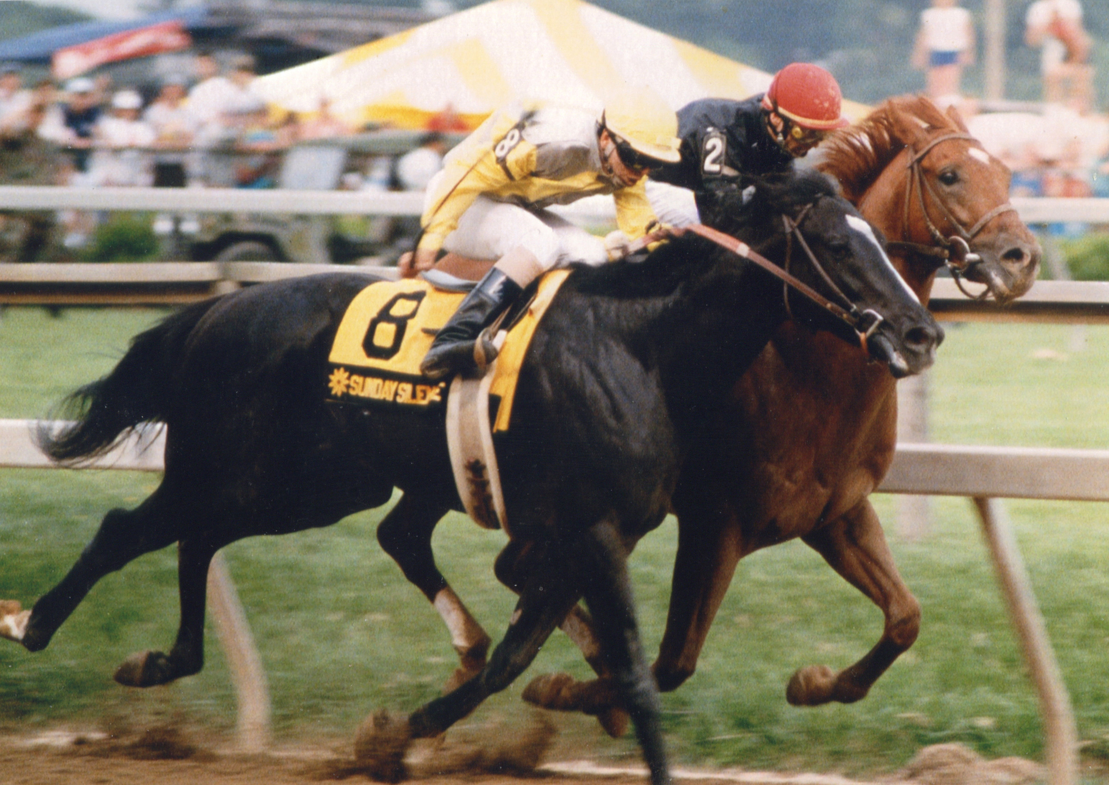 Sunday Silence (Patrick Valenzuela up) edges out fellow Hall of Famer Easy Goer (Pat Day up) in the 1989 Preakness Stakes (Mike Pender/Museum Collection)