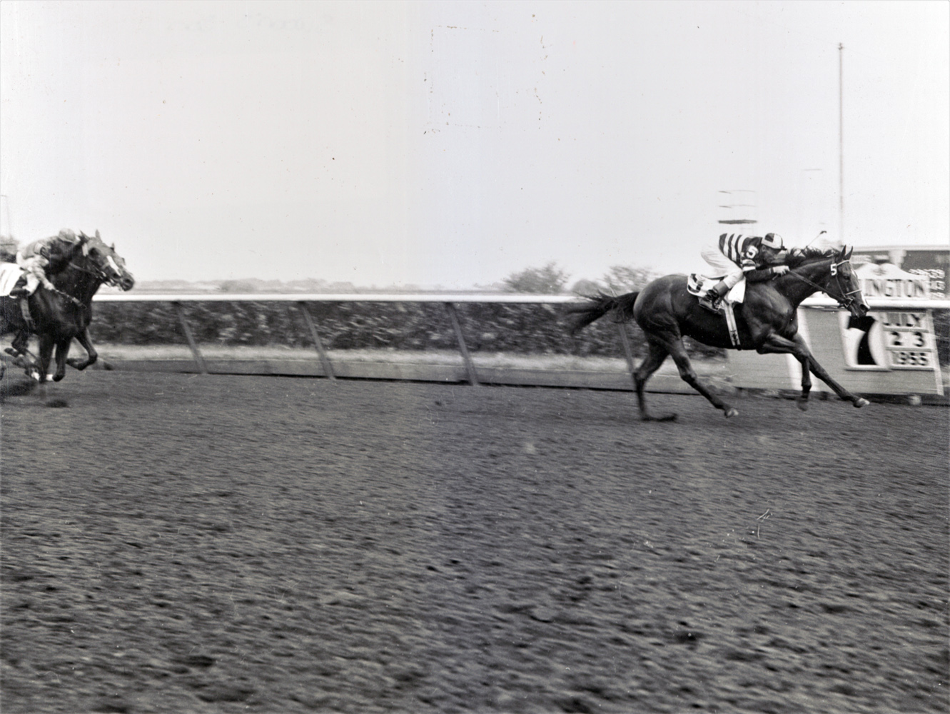 Swoon's Son wins the 1955 Futurity at Arlington Park (Keeneland Library Thoroughbred Times Collection)